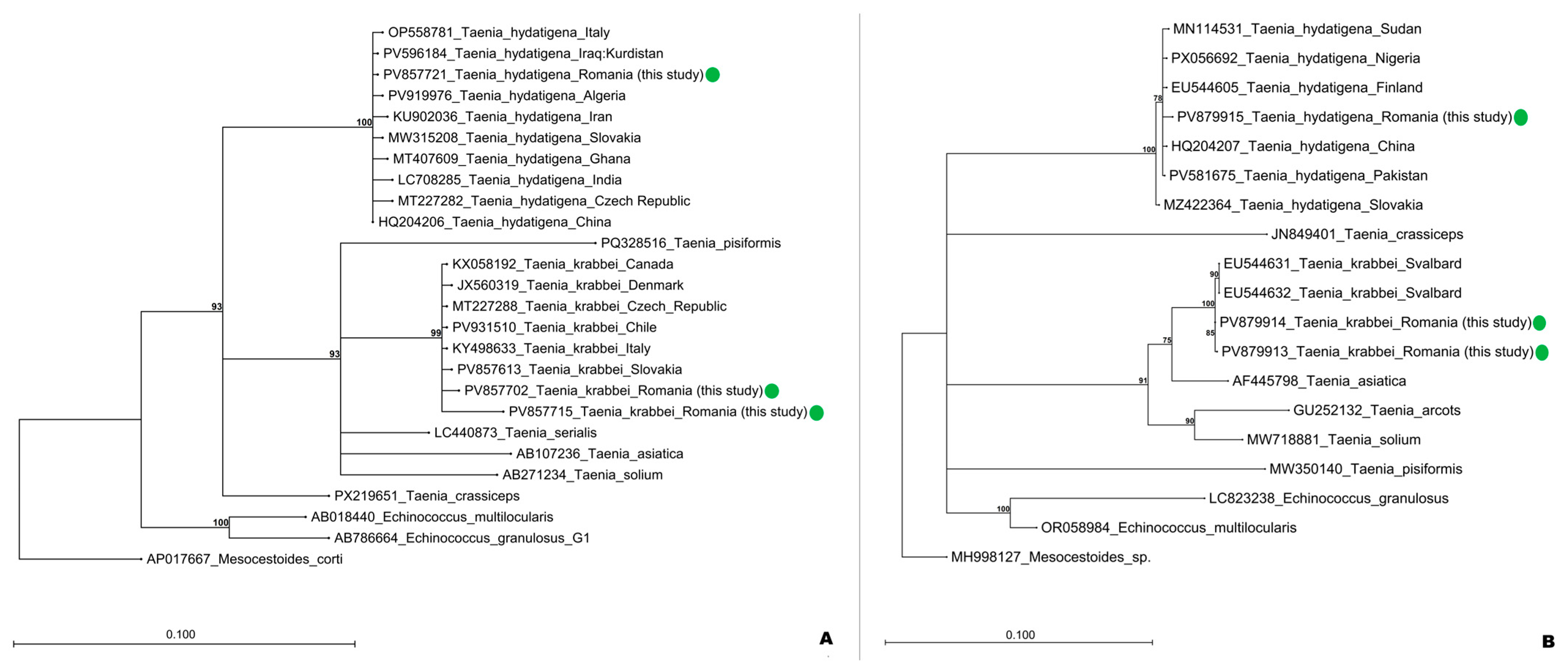 Pathogens 15 00018 g002