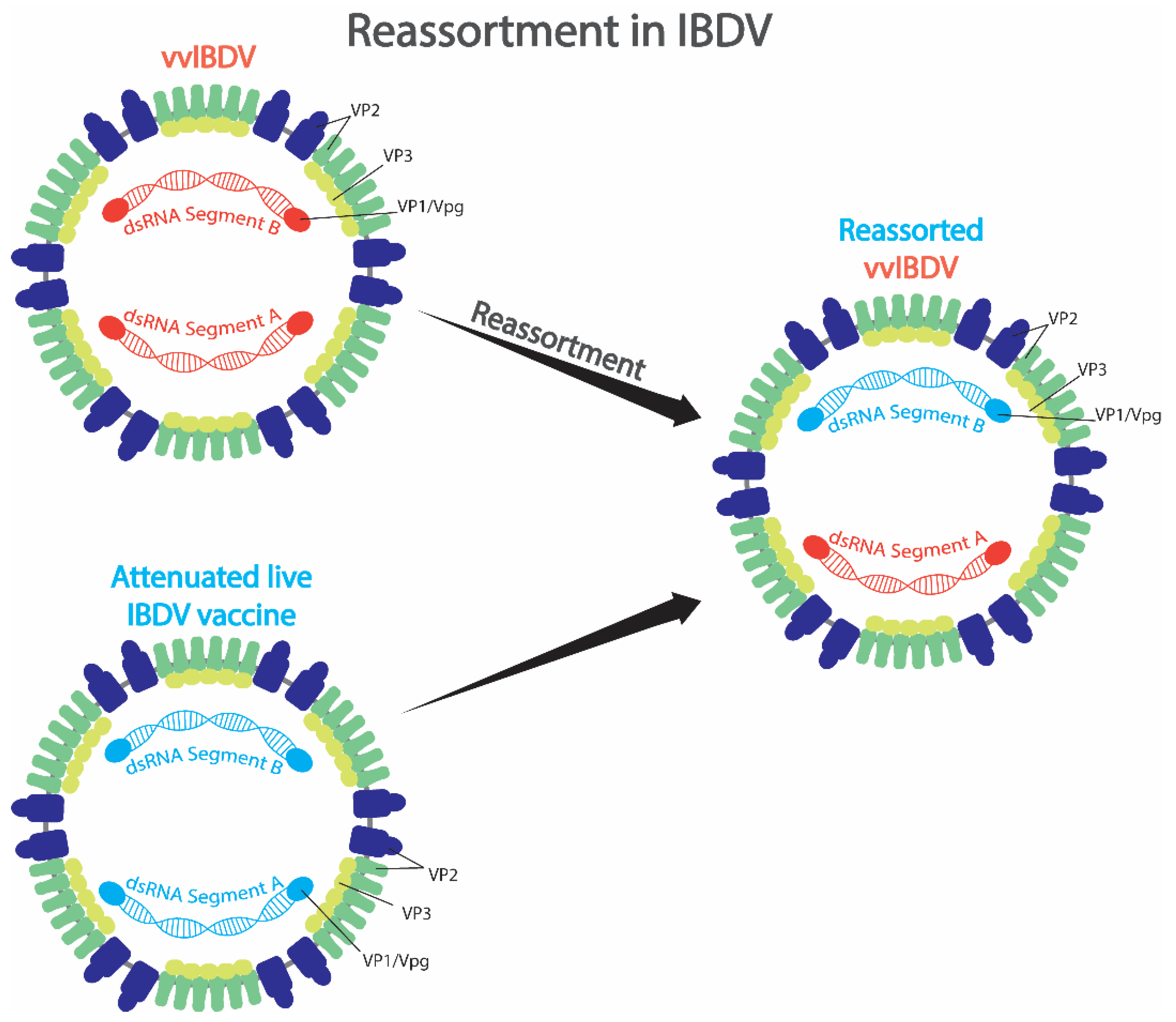 Pathogens 15 00026 g007