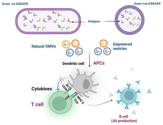 Taming Superbugs: Current Progress and Challenges in Combating