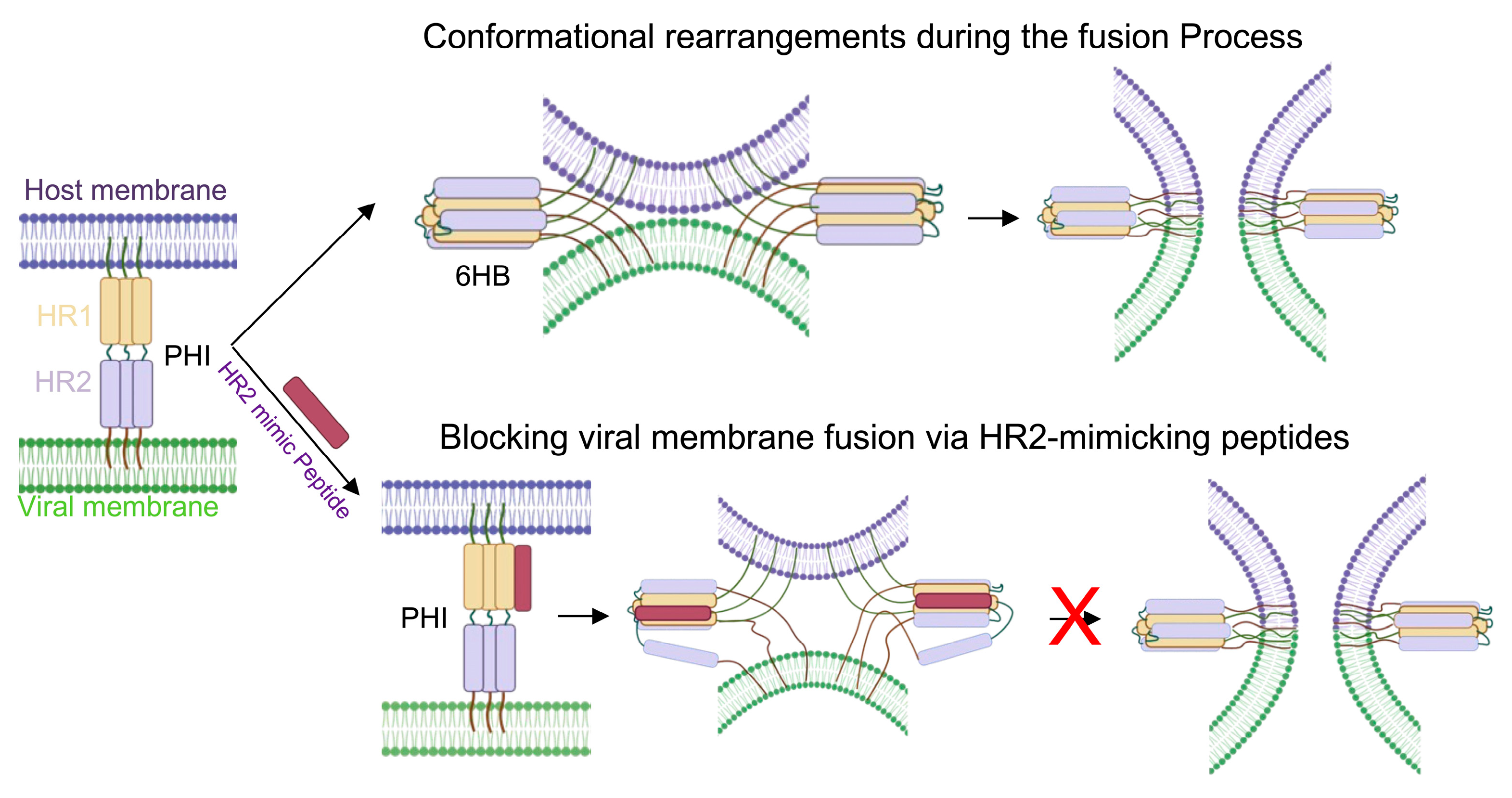 Pathogens 15 00032 g001
