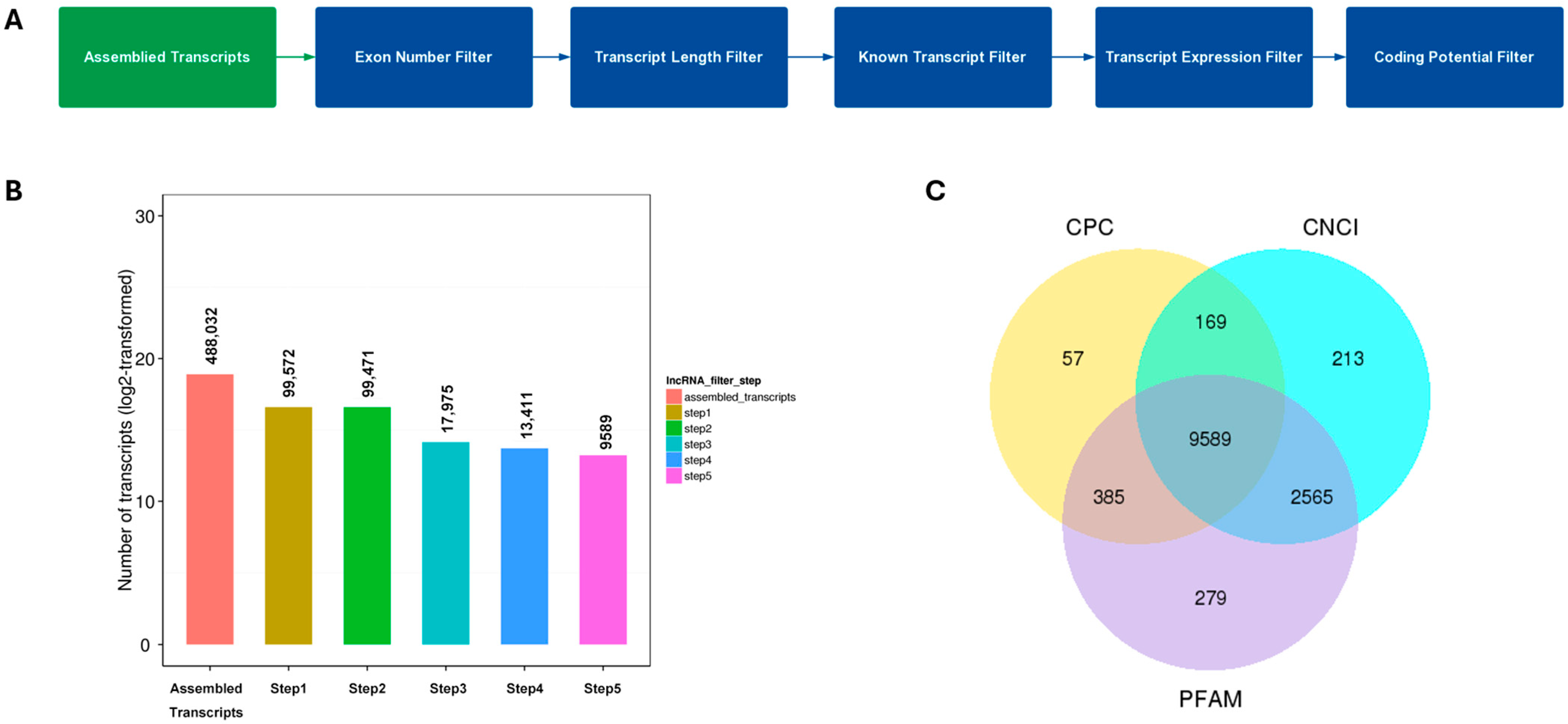 Pathogens 15 00035 g001