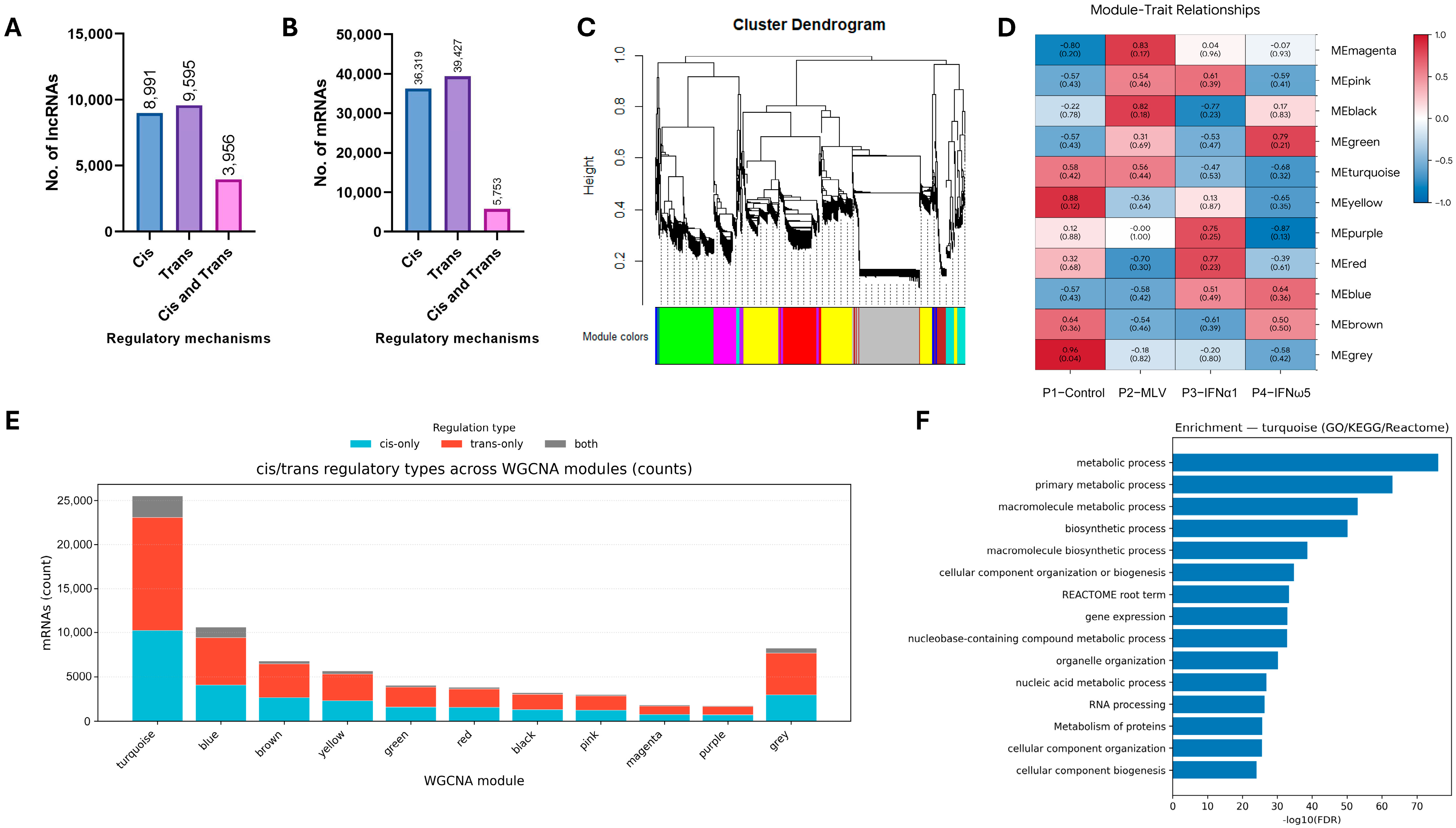 Pathogens 15 00035 g005