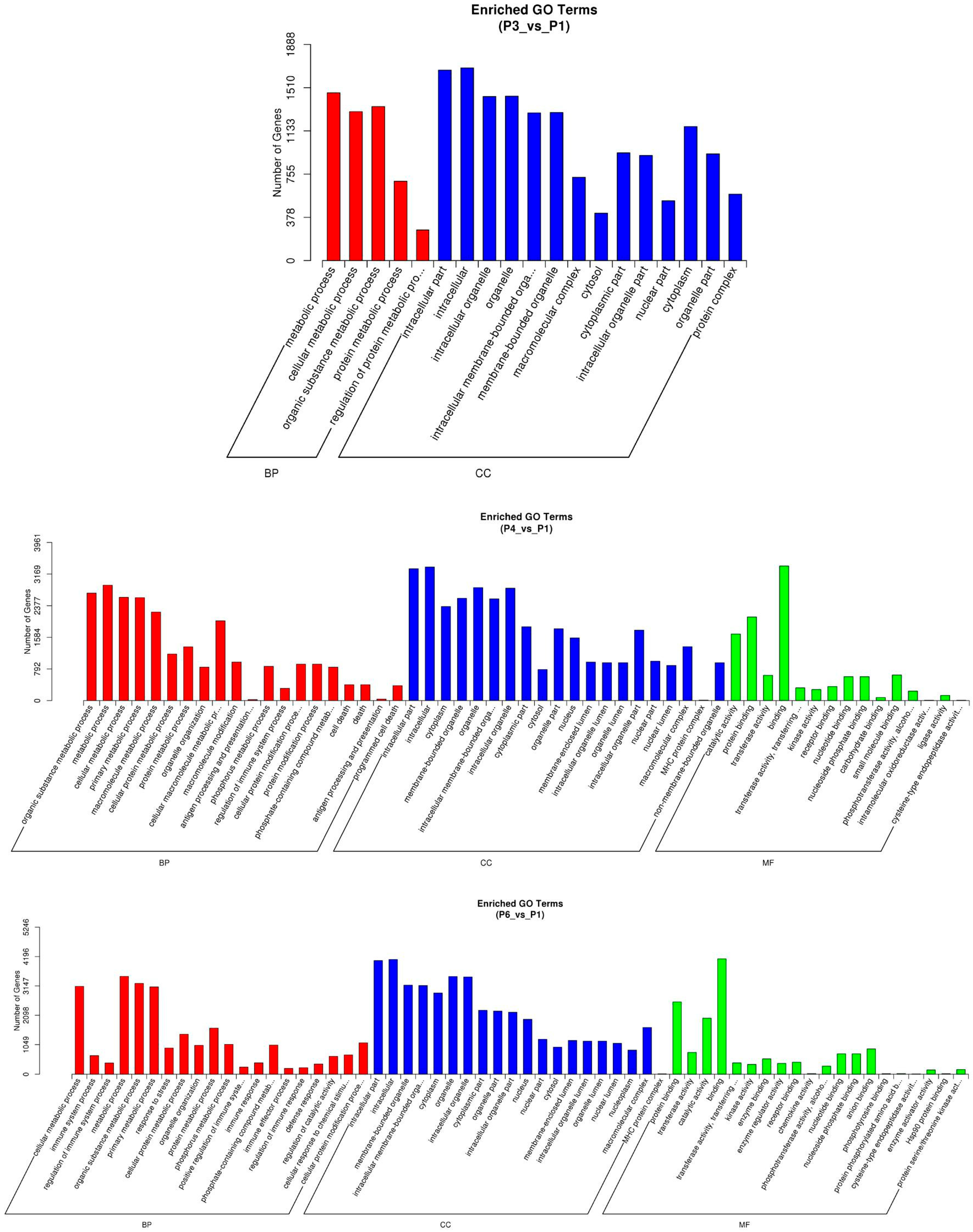 Pathogens 15 00035 g006