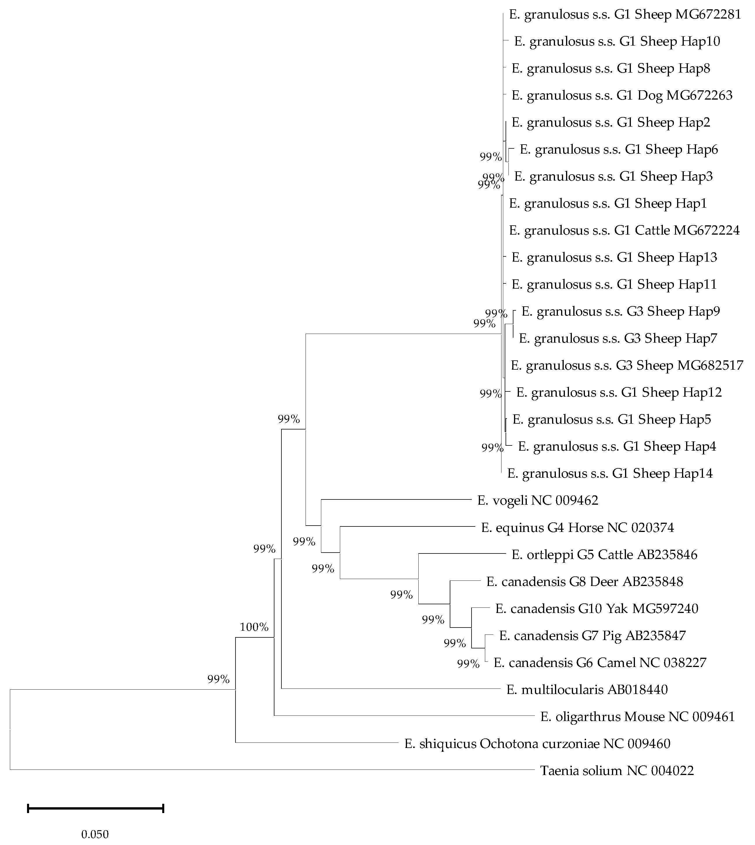 Pathogens 15 00040 g004