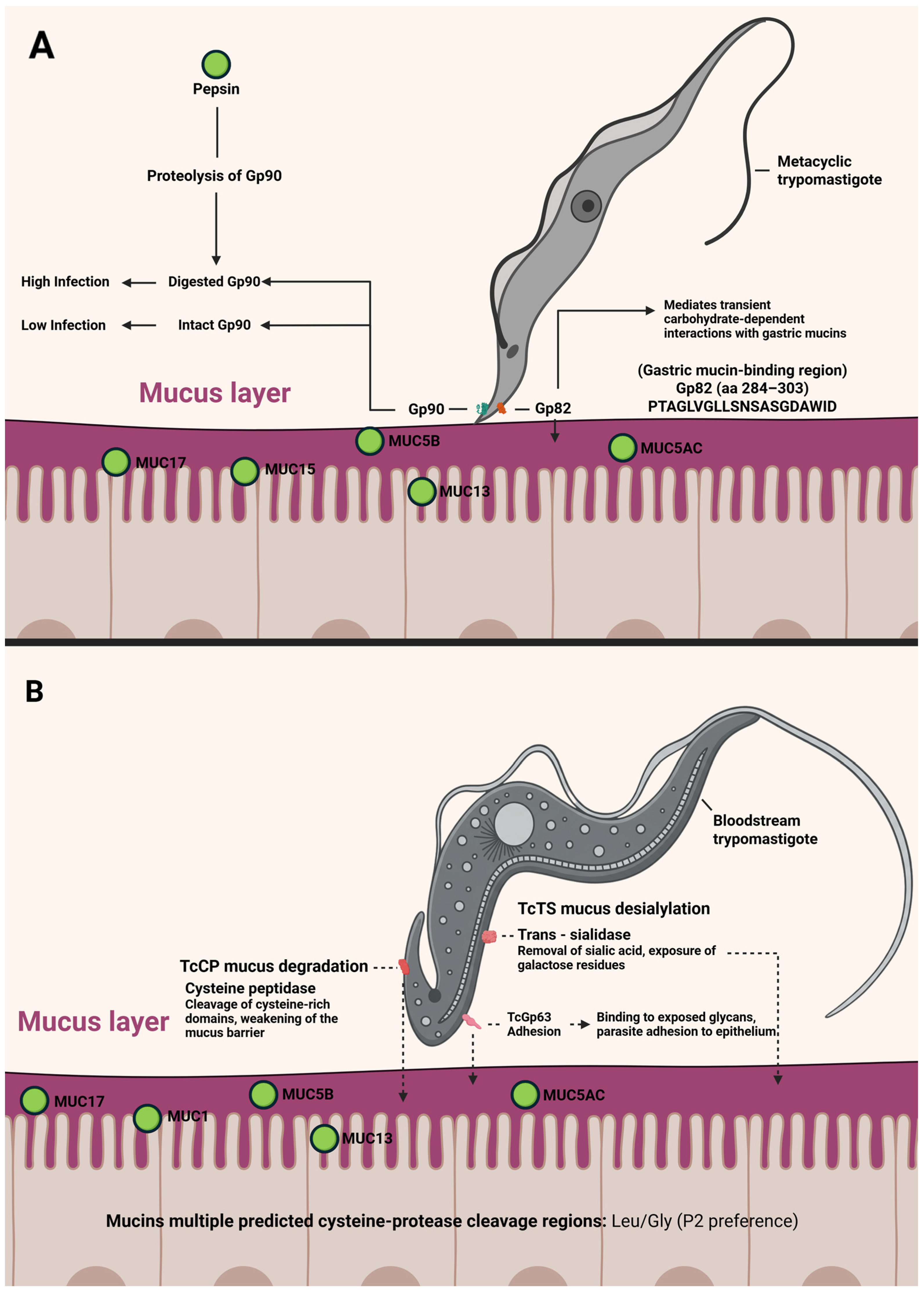 Pathogens 15 00047 g005