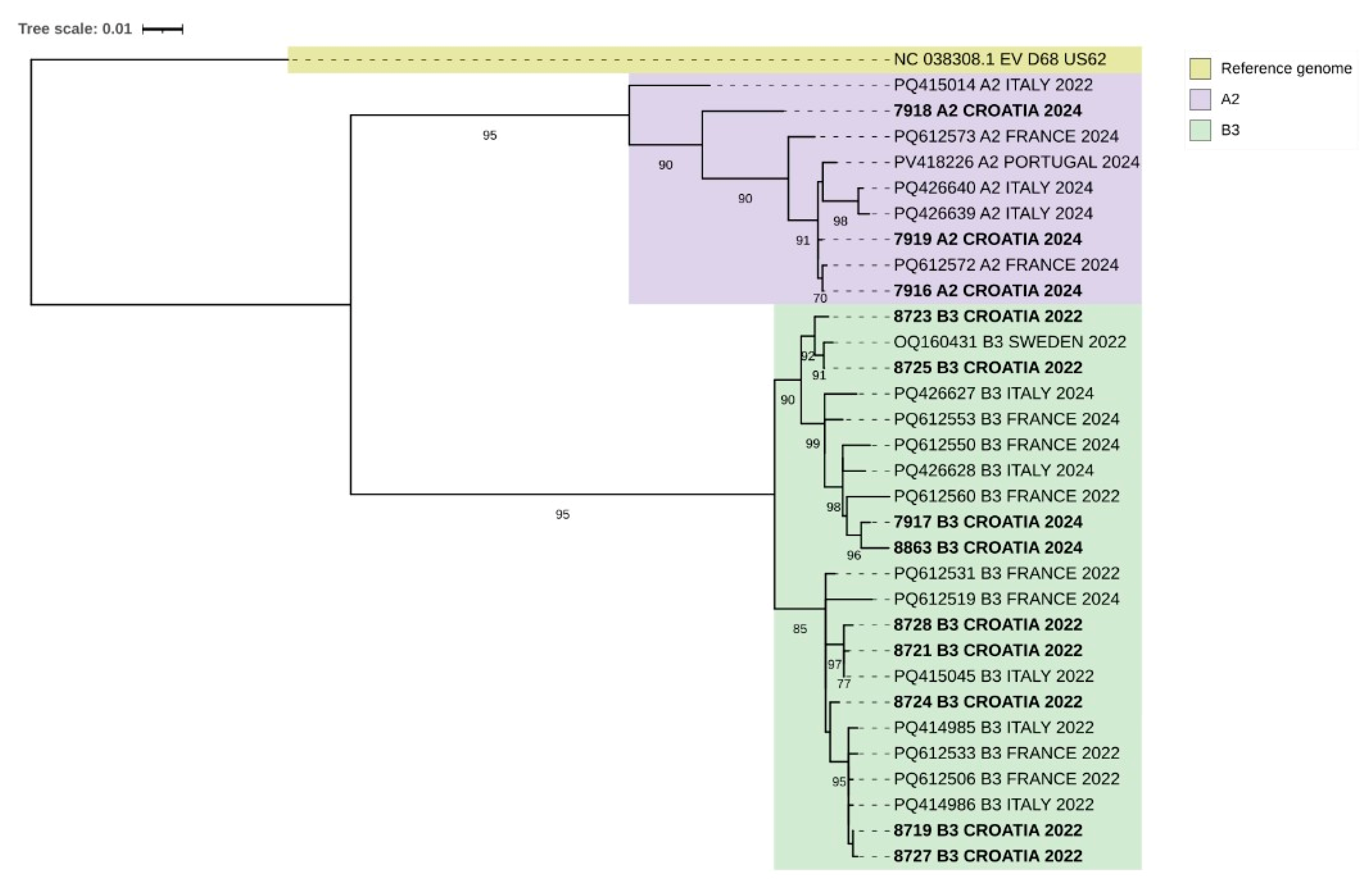 Pathogens 15 00048 g002