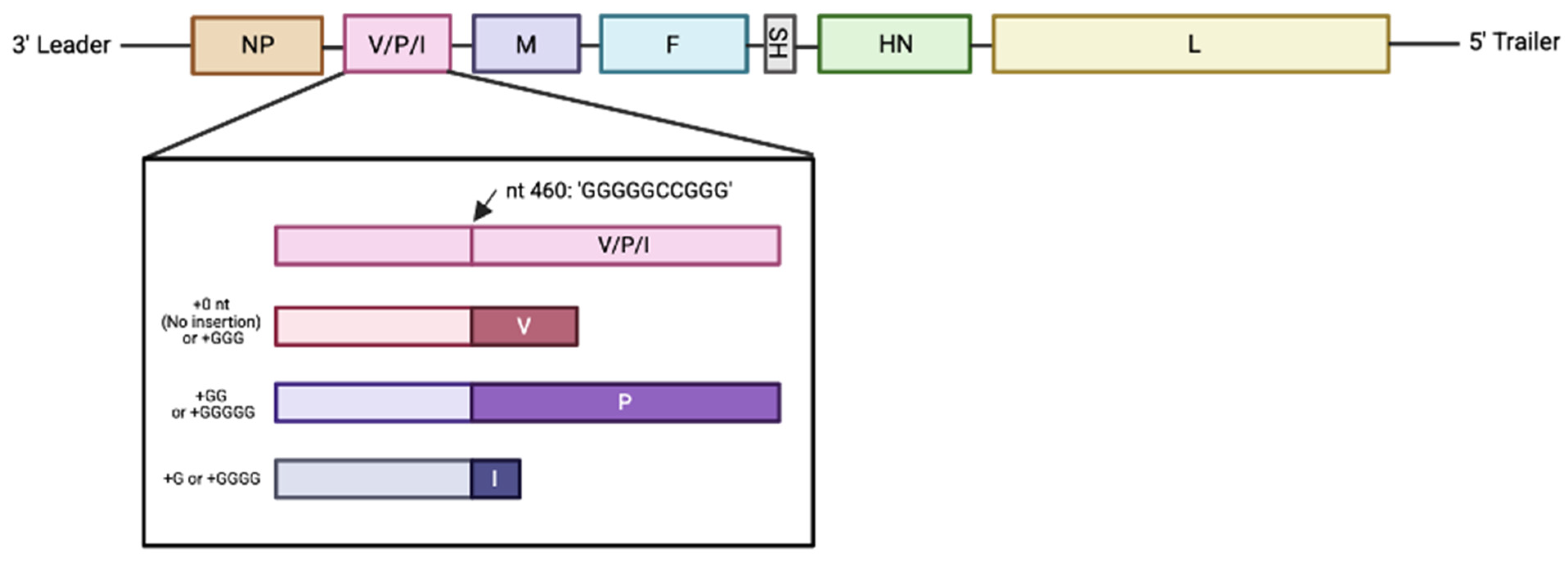 Pathogens 15 00072 g002 Pathogens 15 00072 g002