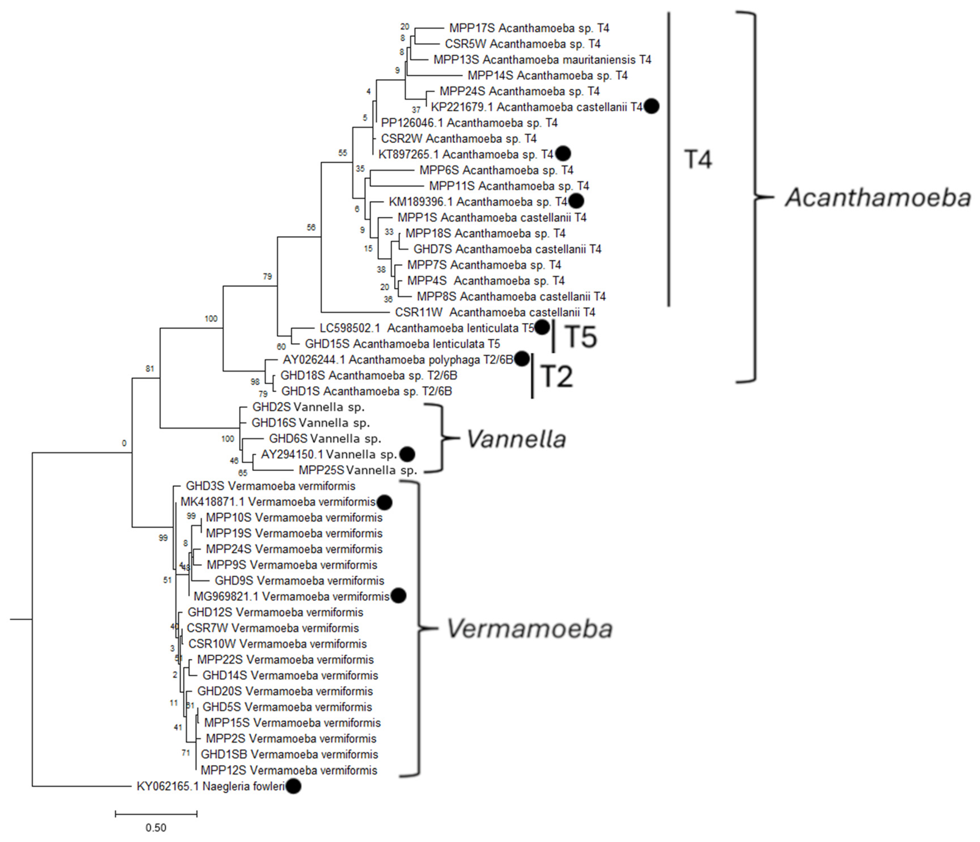 Pathogens 15 00073 g008 Pathogens 15 00073 g008