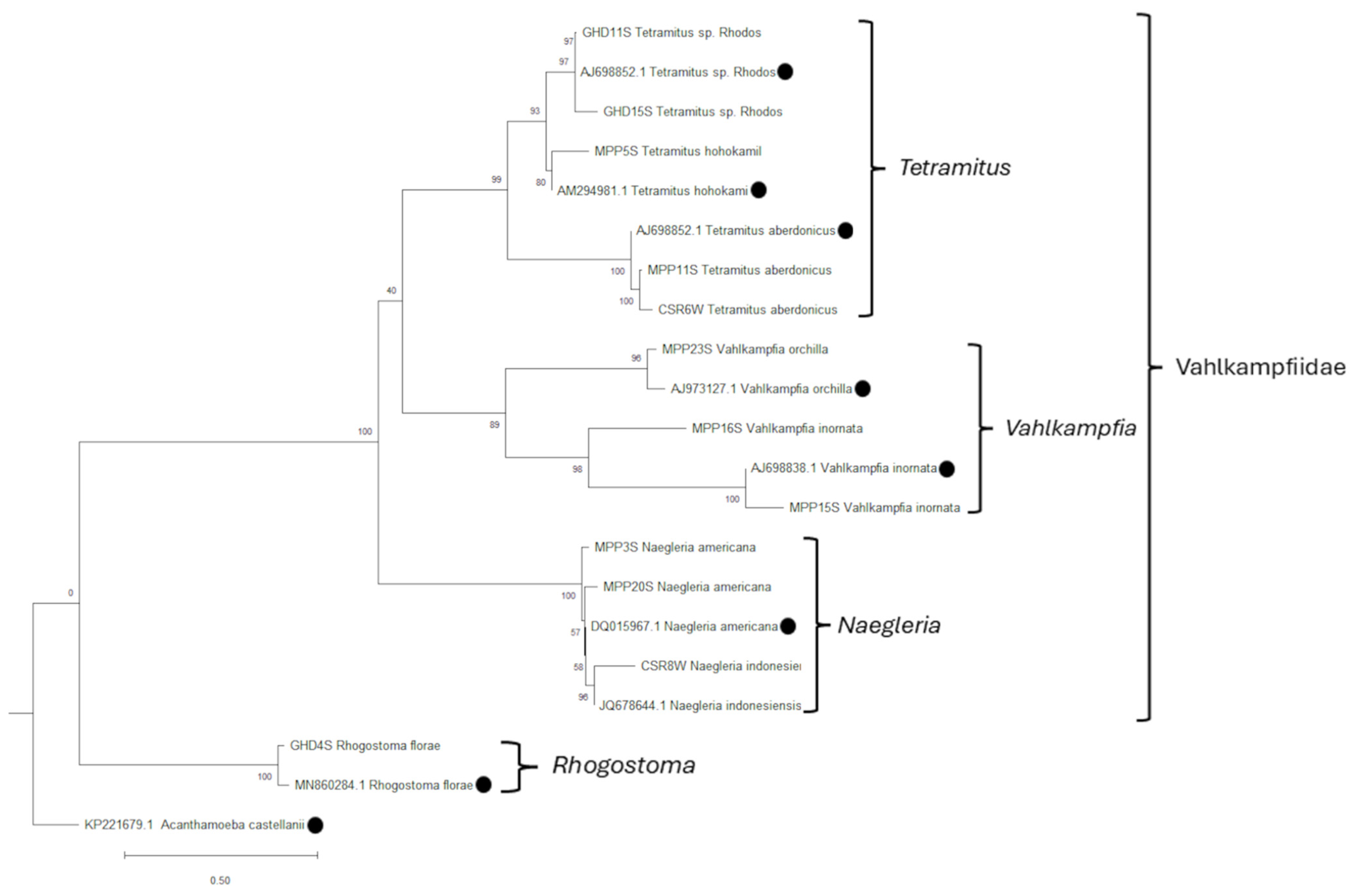 Pathogens 15 00073 g009 Pathogens 15 00073 g009