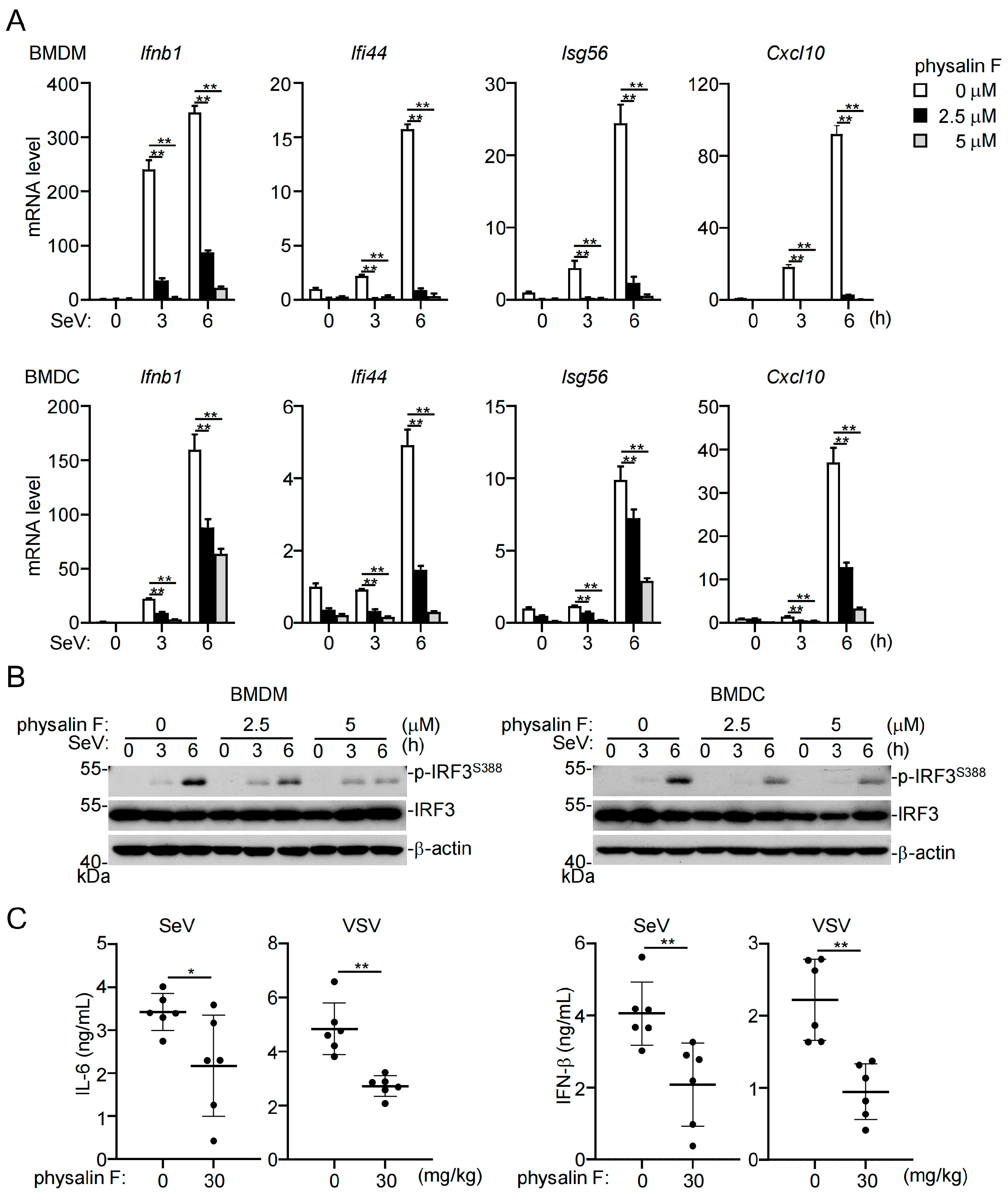 Pathogens 15 00074 g002