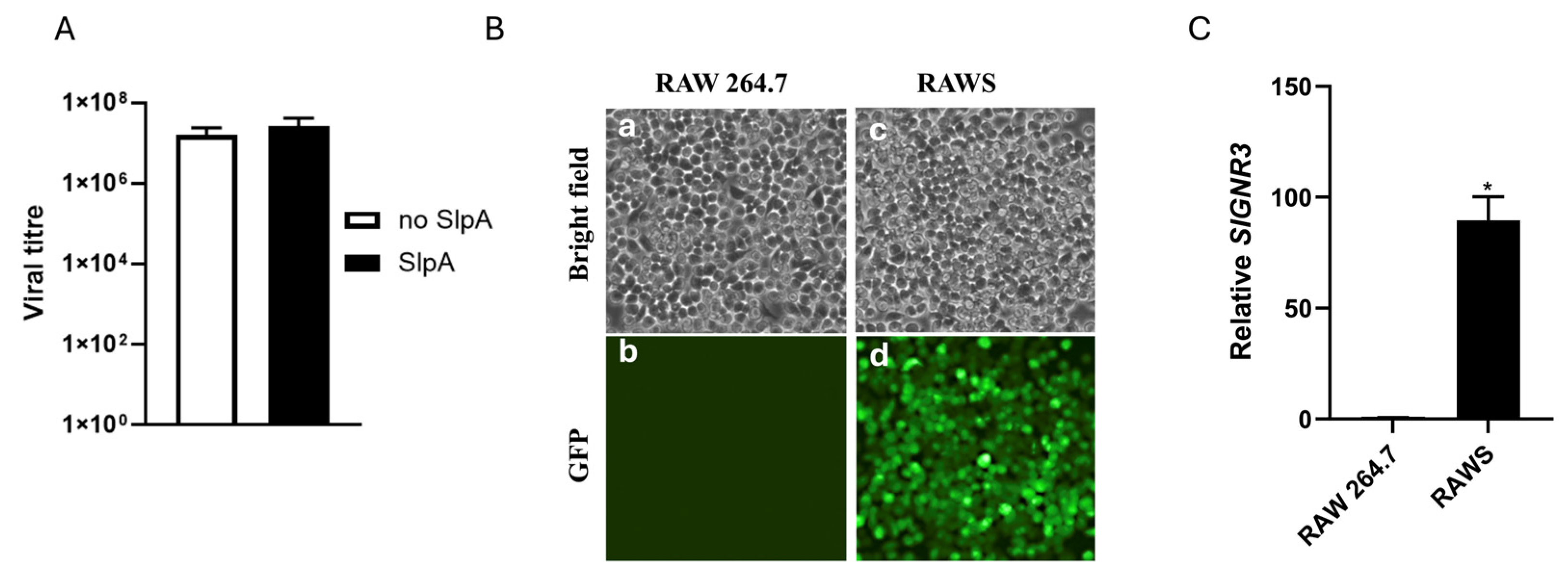 Pathogens 15 00103 g001