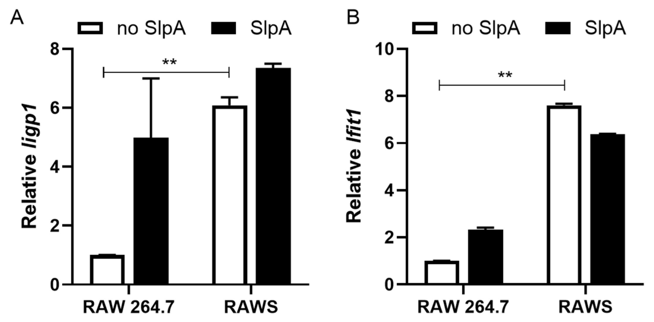 Pathogens 15 00103 g004
