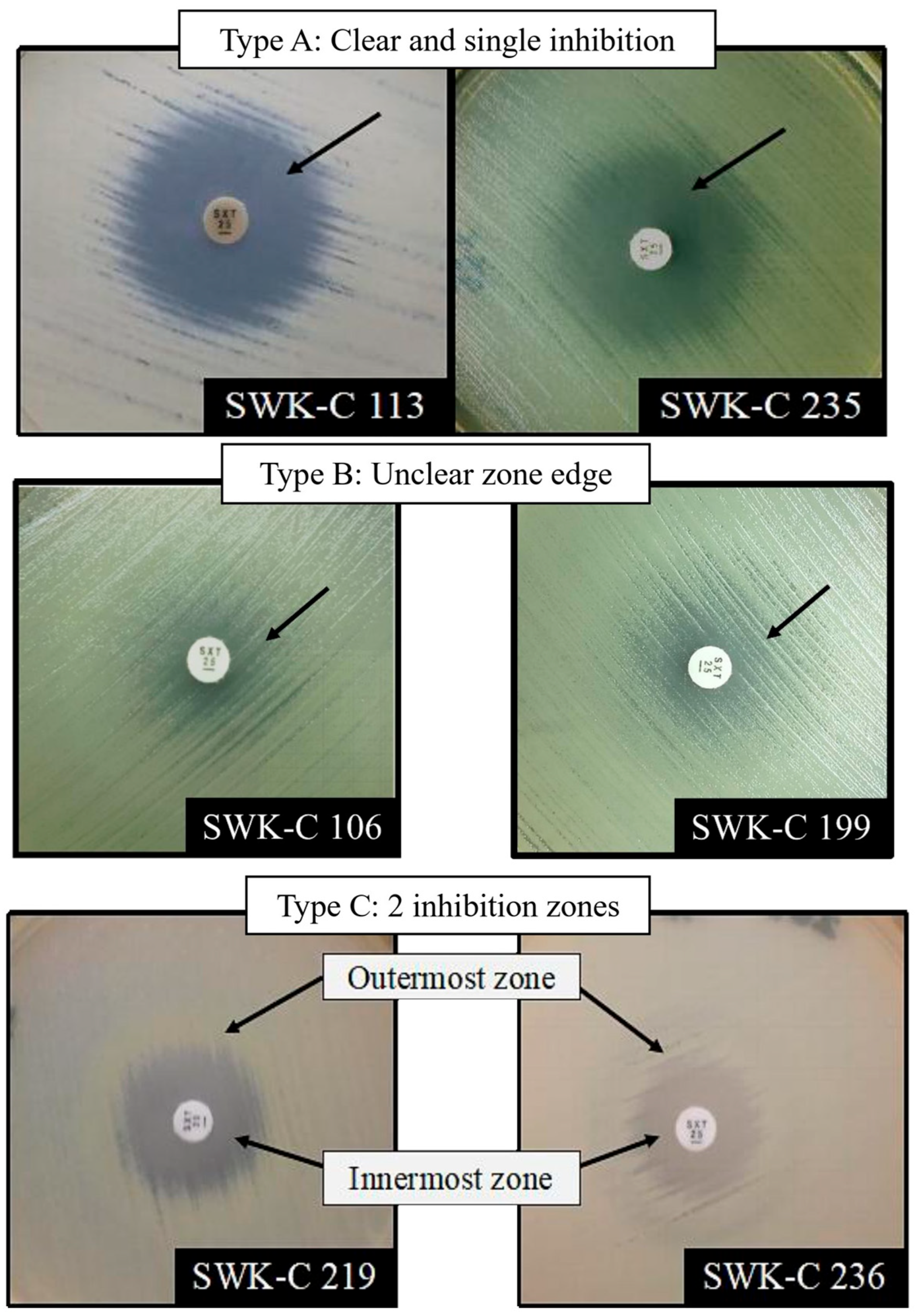 Pathogens 15 00110 g002