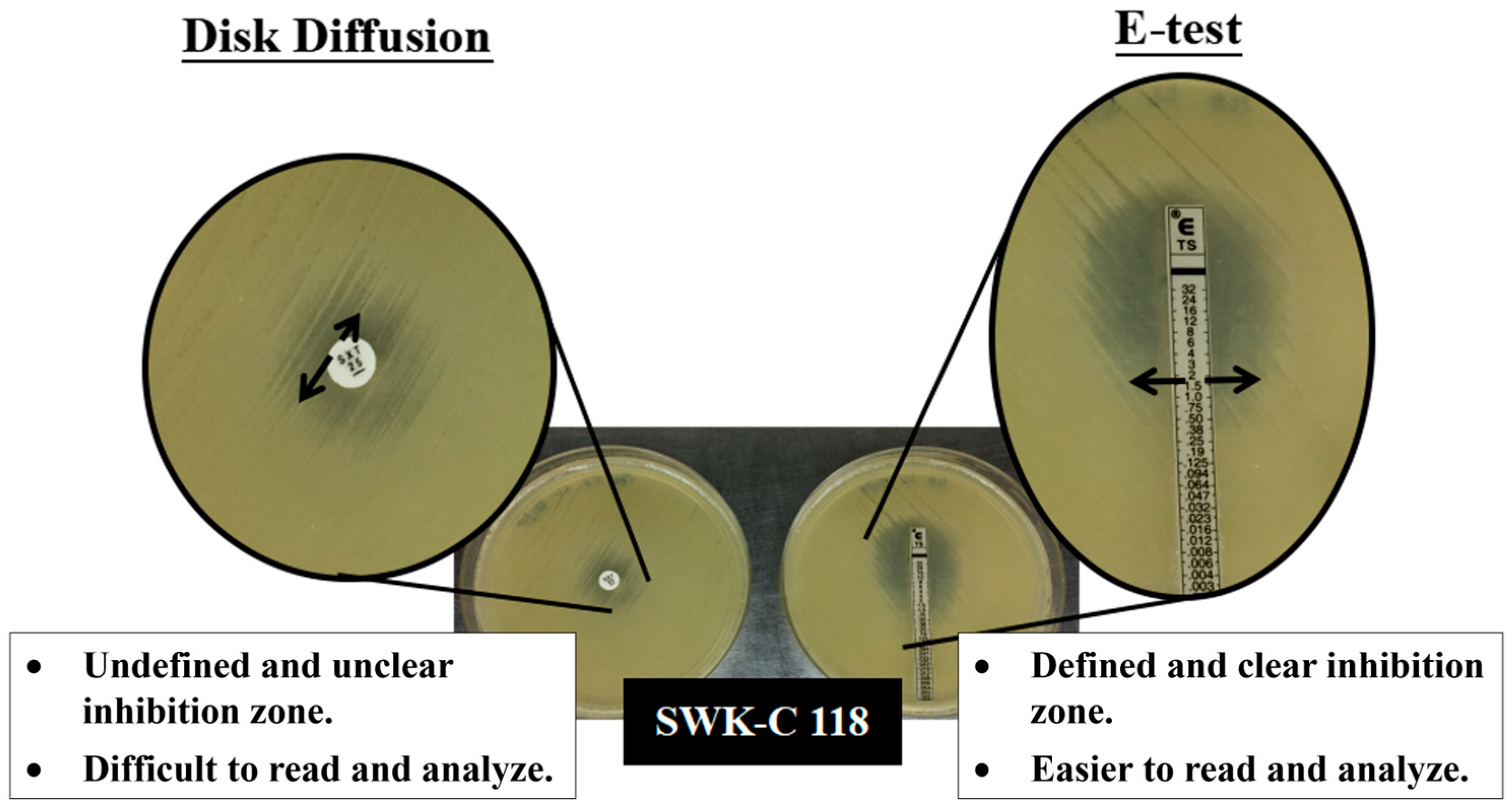 Pathogens 15 00110 g003