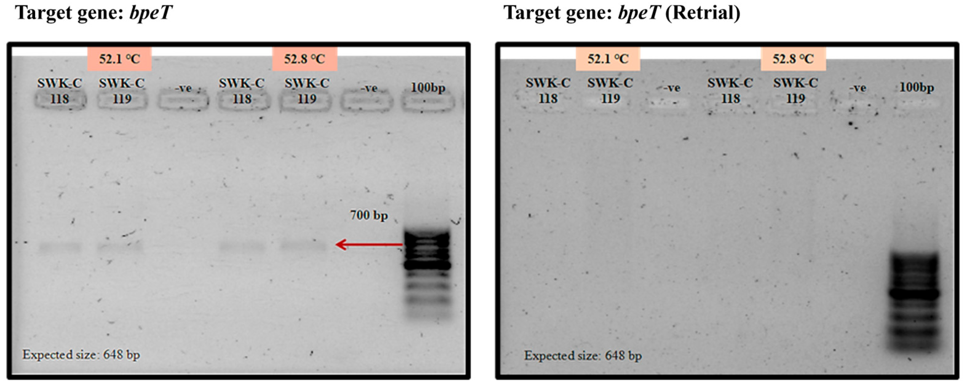 Pathogens 15 00110 g006