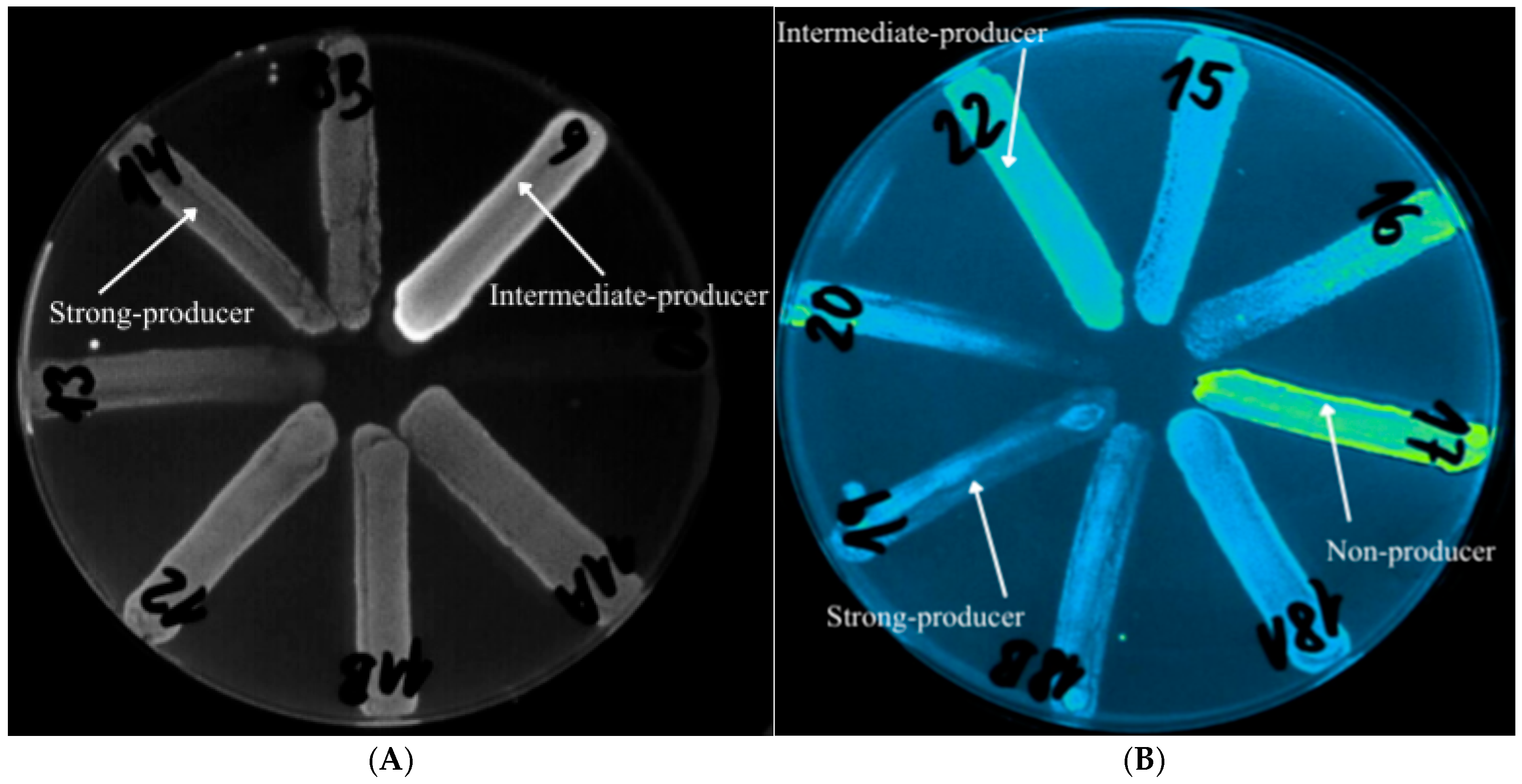 Pathogens 15 00120 g003 Pathogens 15 00120 g003