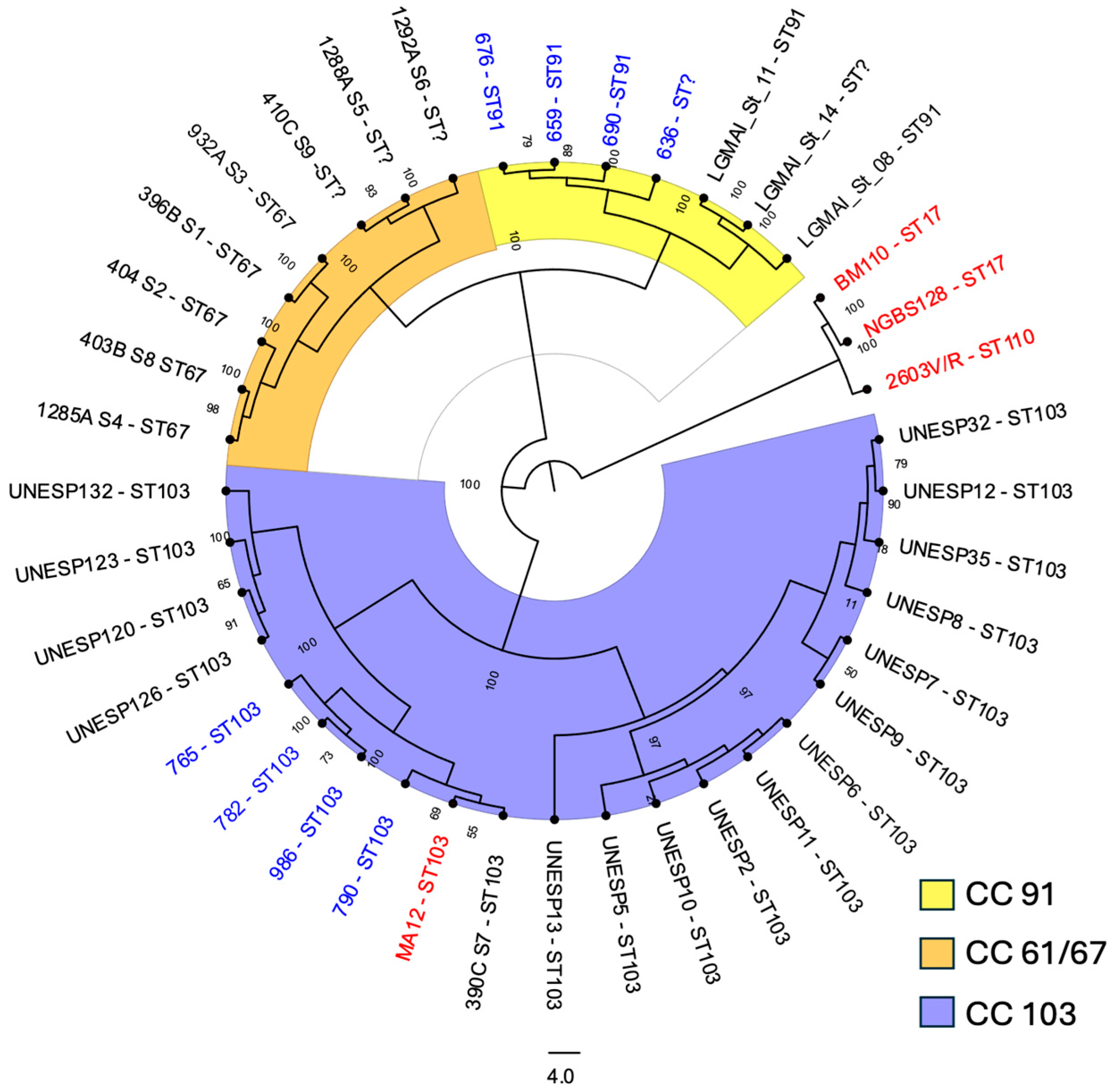 Pathogens 15 00128 g005 Pathogens 15 00128 g005