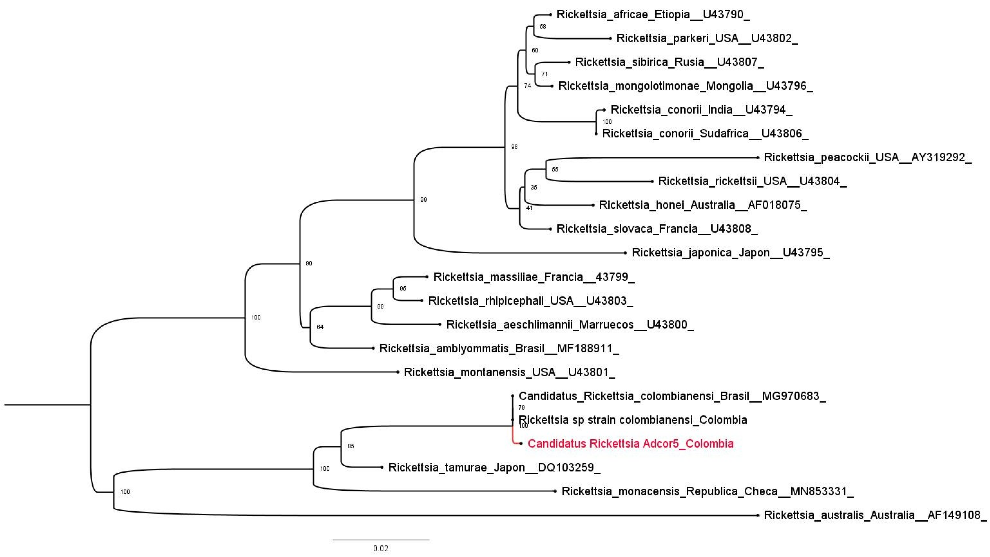 Pathogens 15 00146 g002