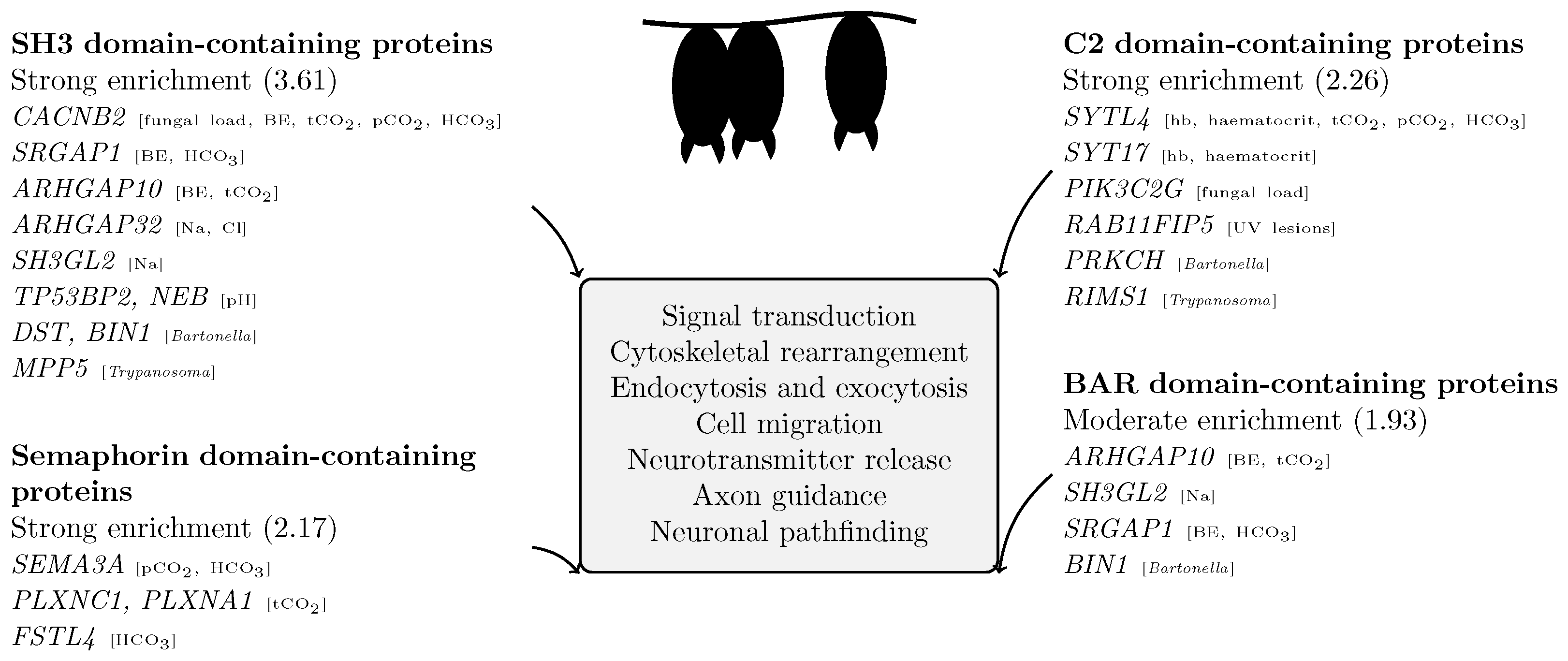 Pathogens 15 00149 g005 Pathogens 15 00149 g005