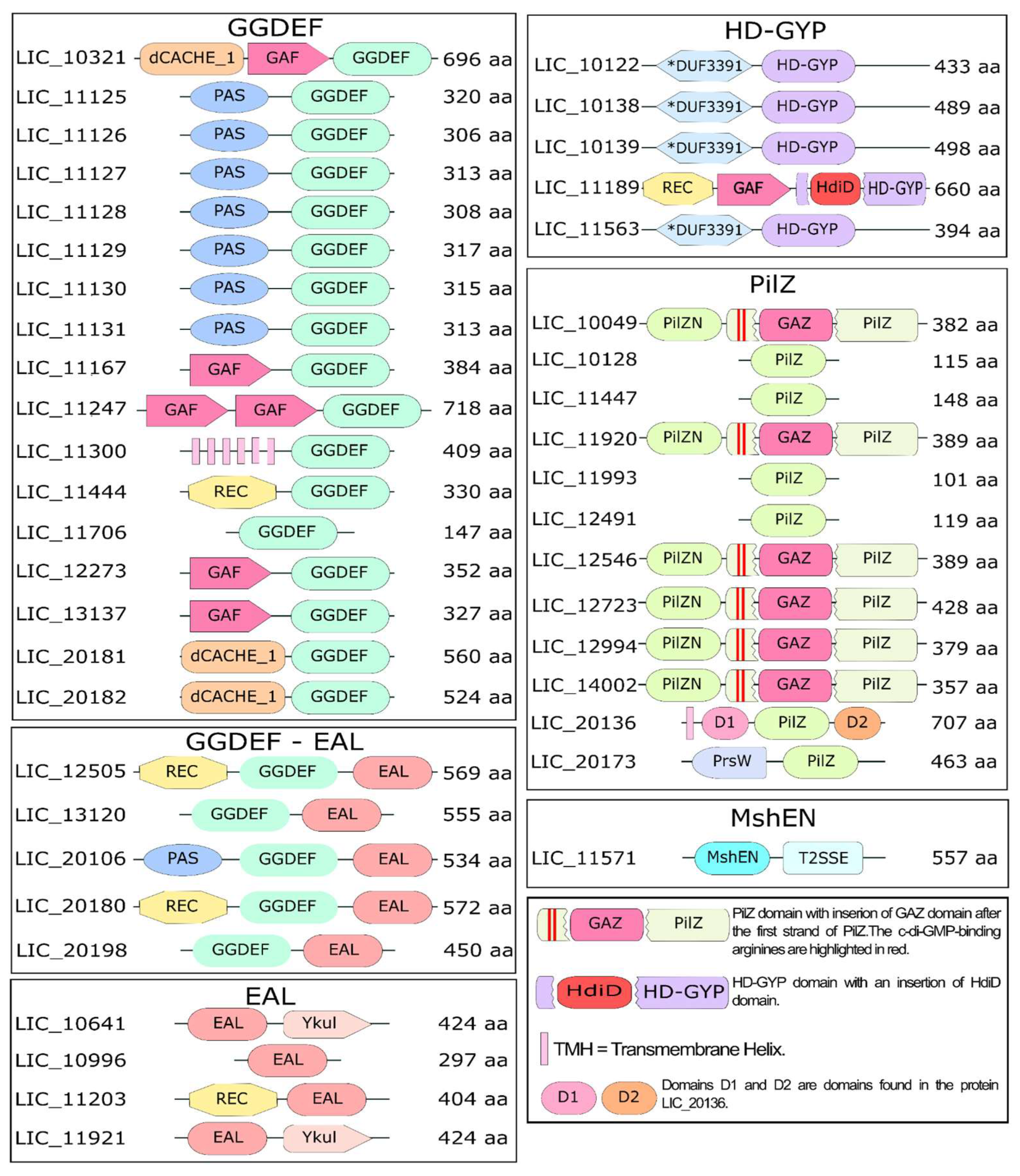 Pathogens 15 00151 g003