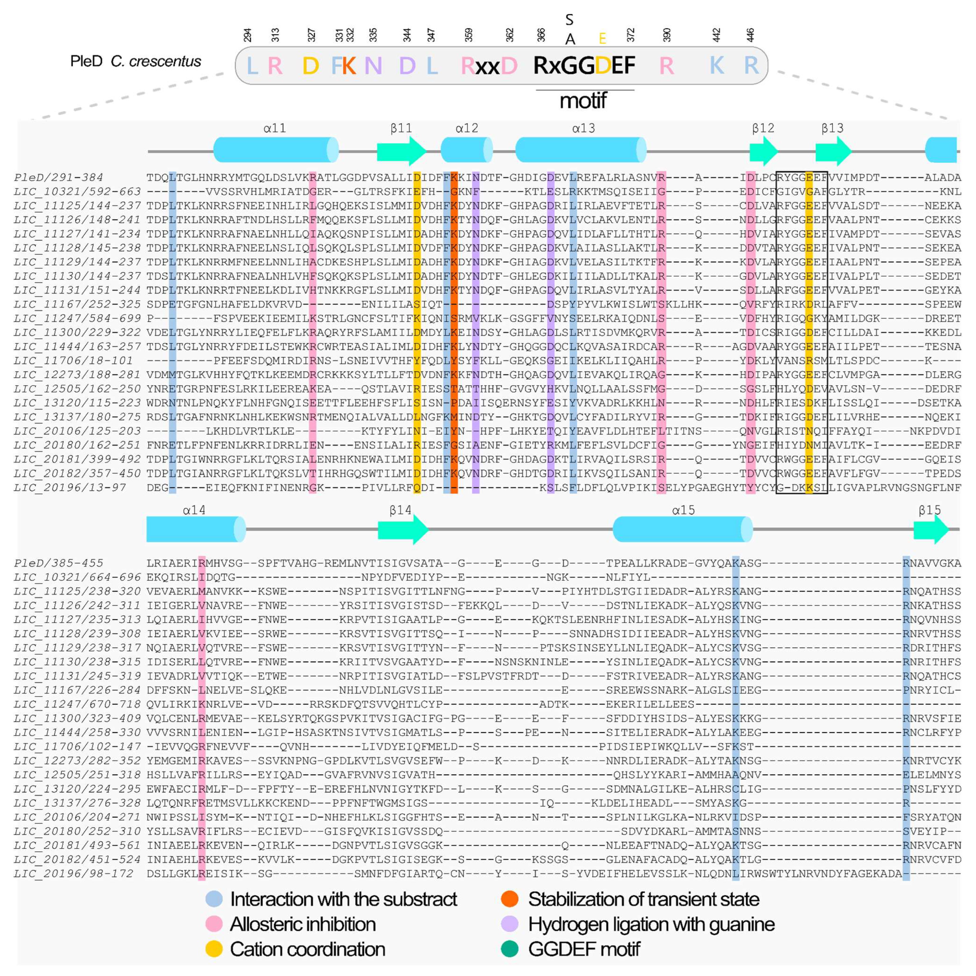 Pathogens 15 00151 g004