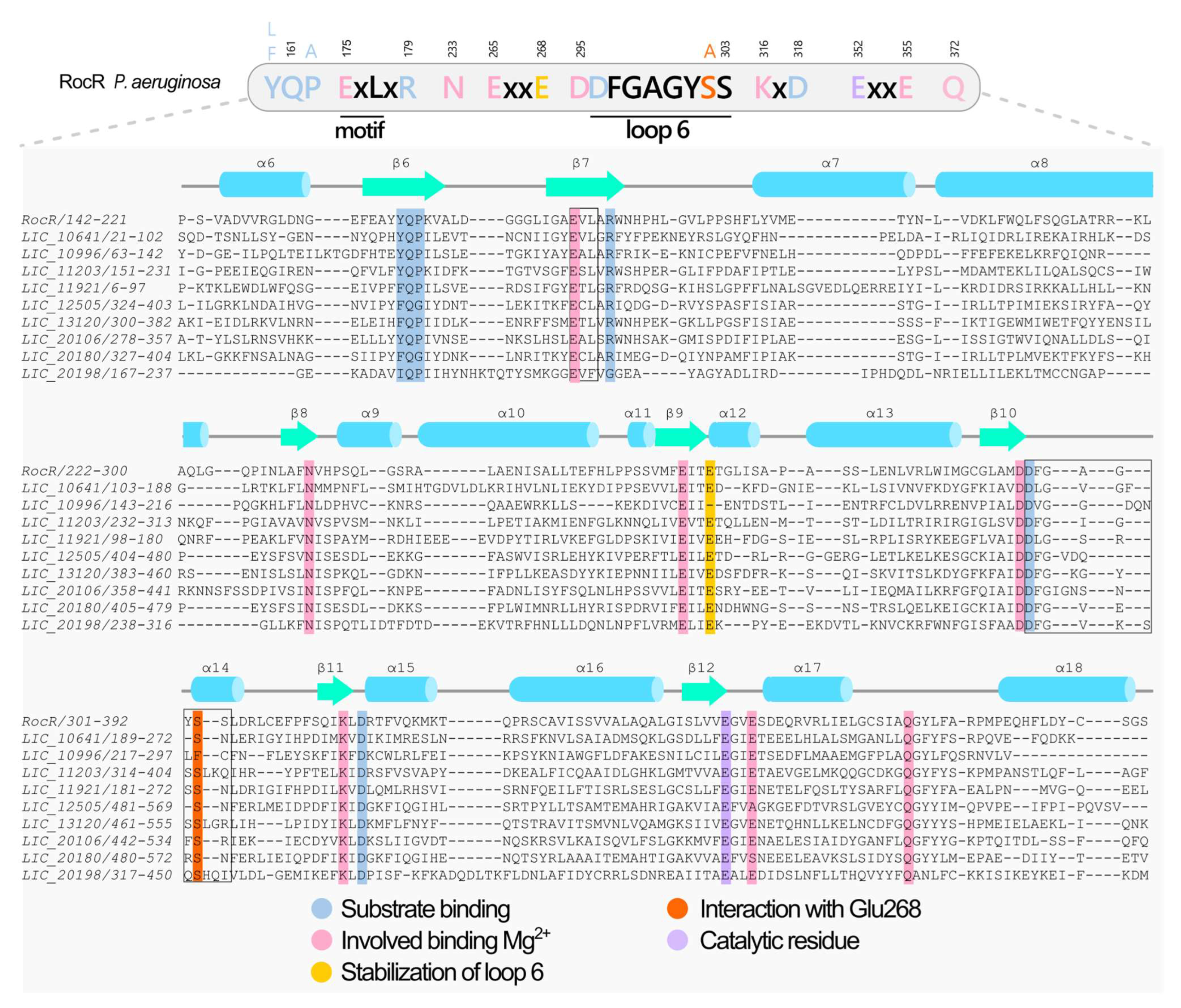 Pathogens 15 00151 g005