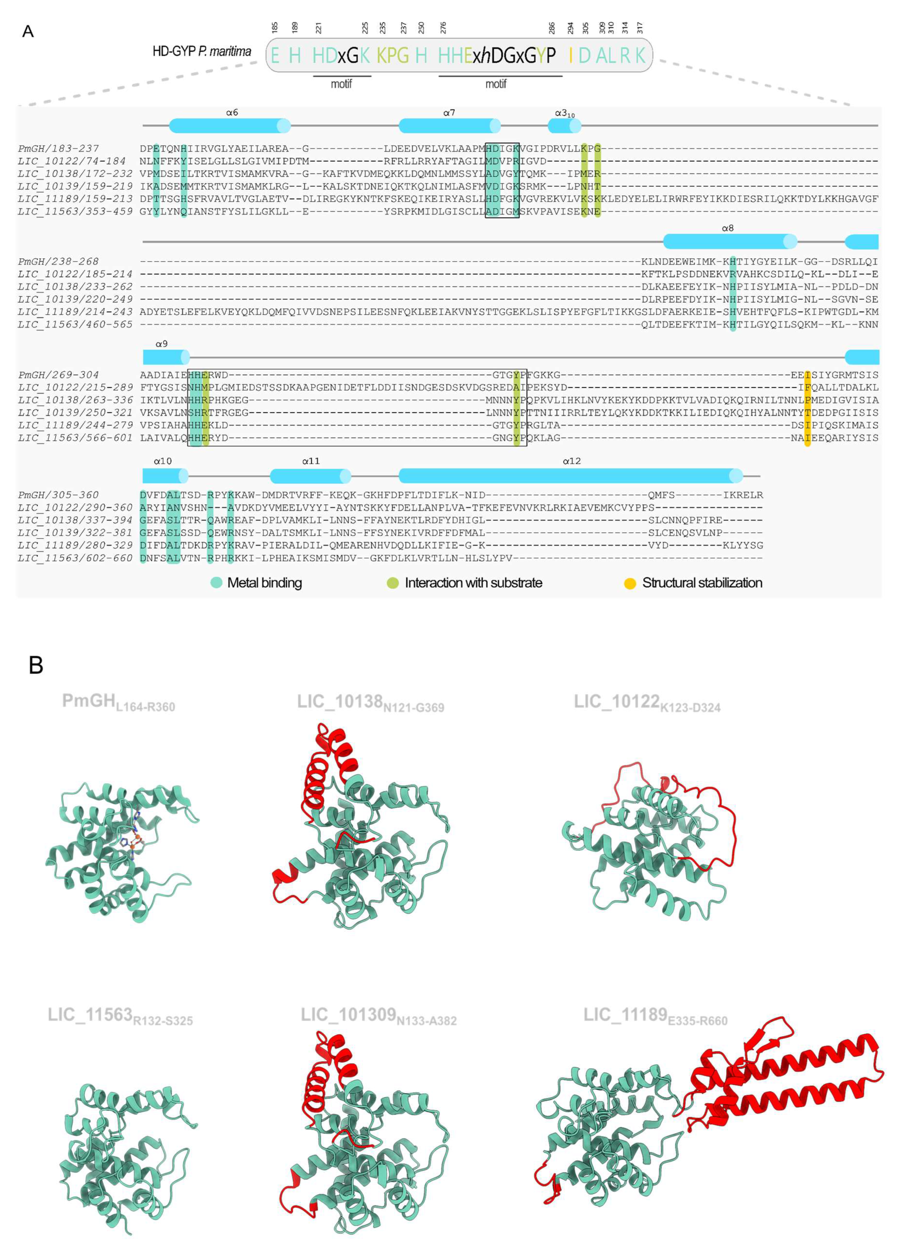 Pathogens 15 00151 g006