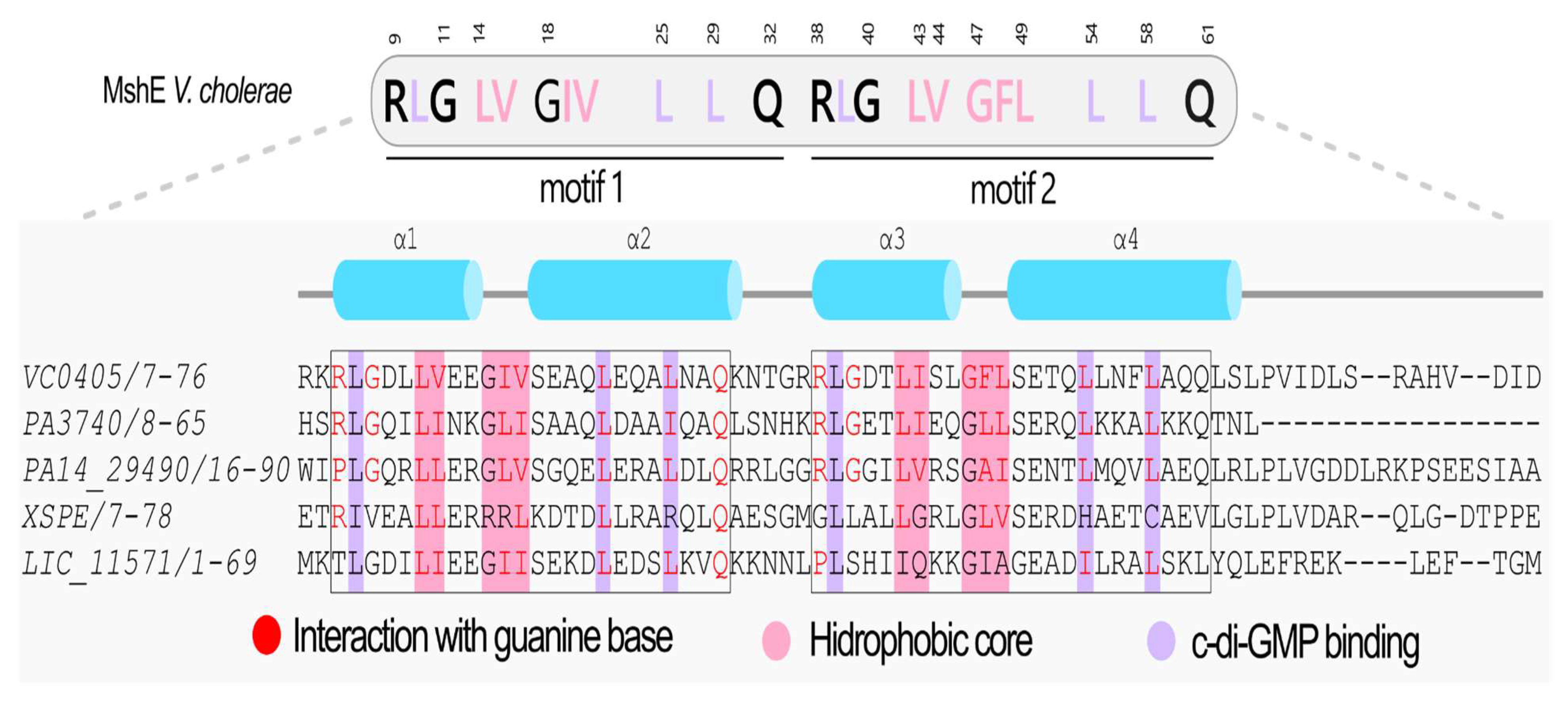 Pathogens 15 00151 g008