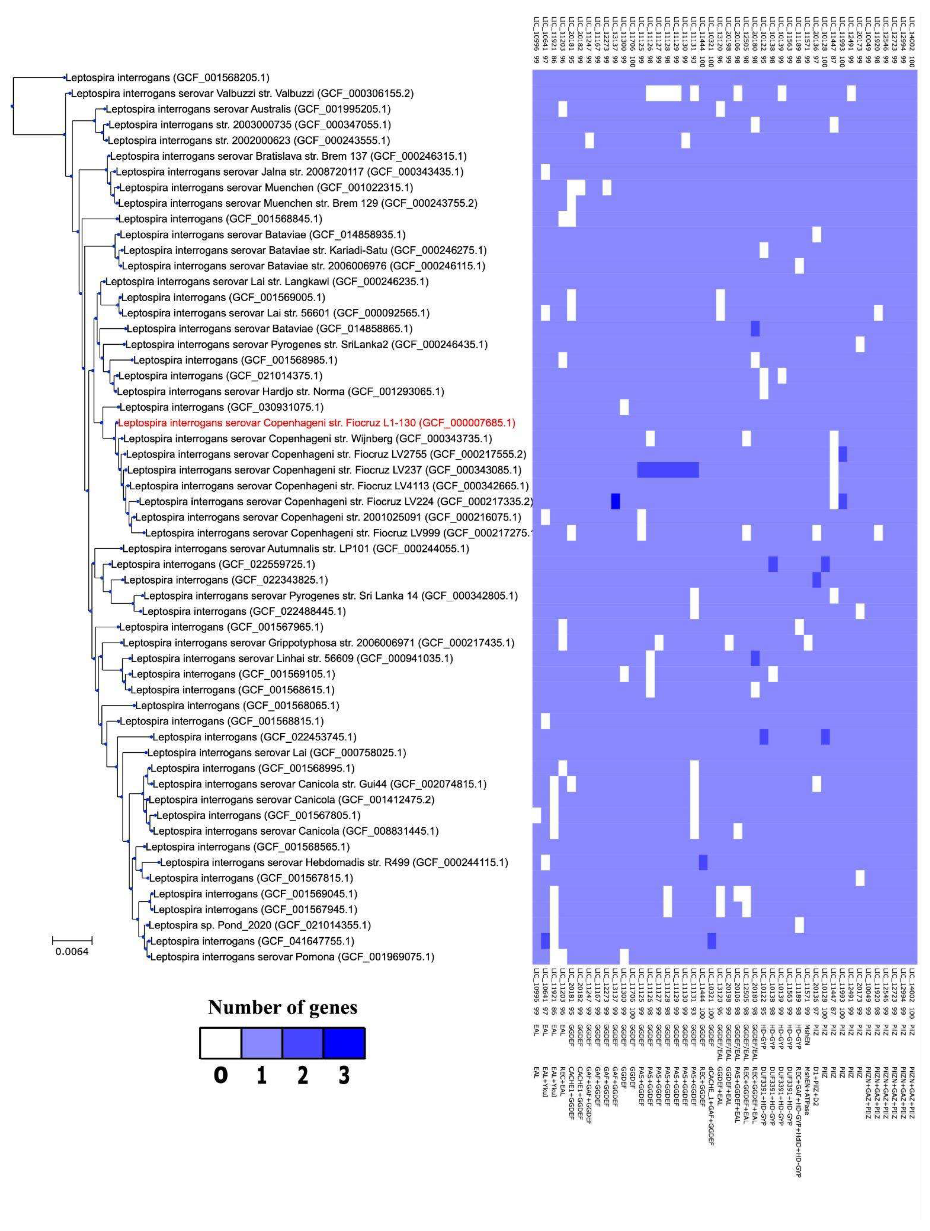 Pathogens 15 00151 g009