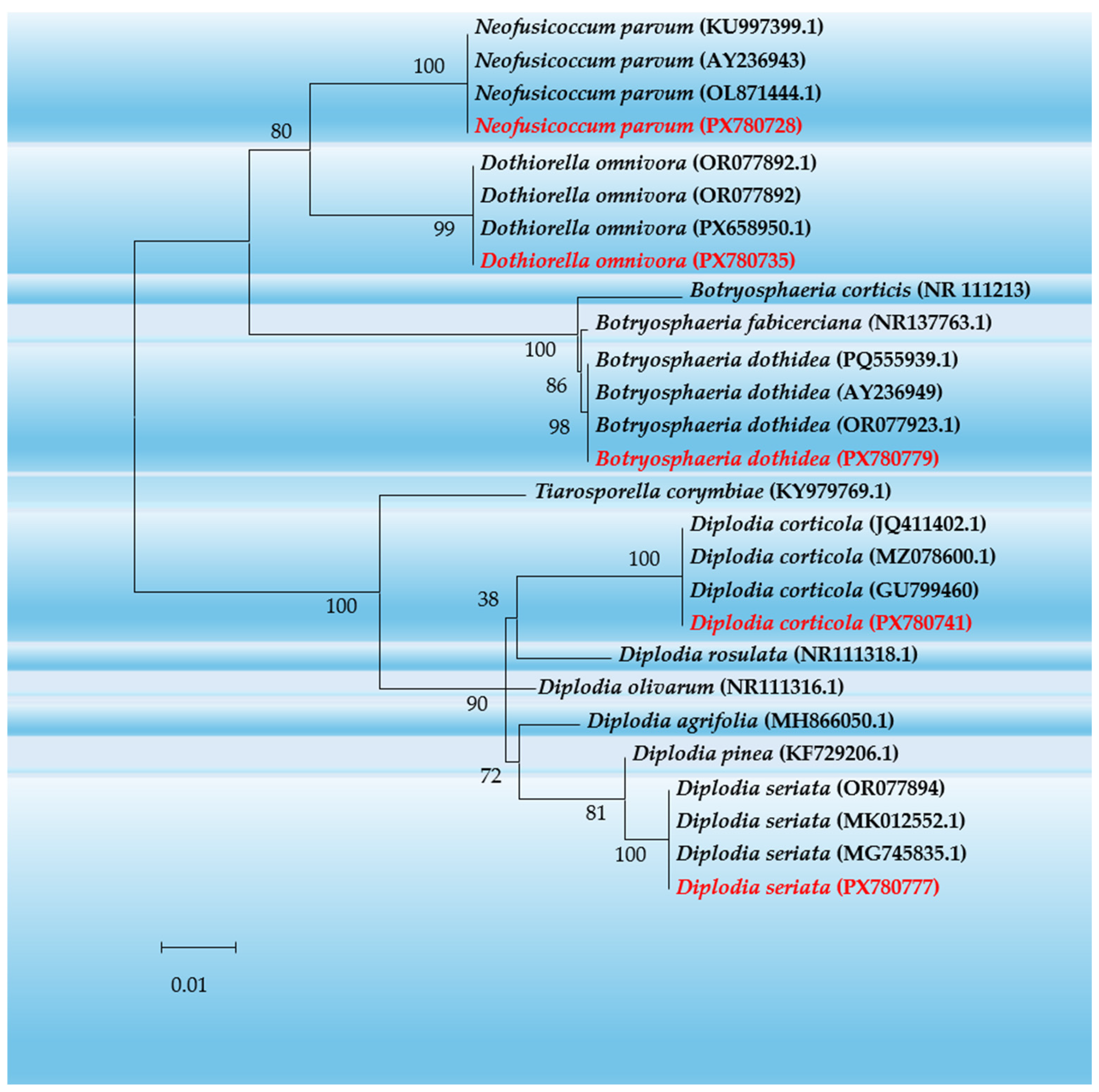 Pathogens 15 00155 g003 Pathogens 15 00155 g003