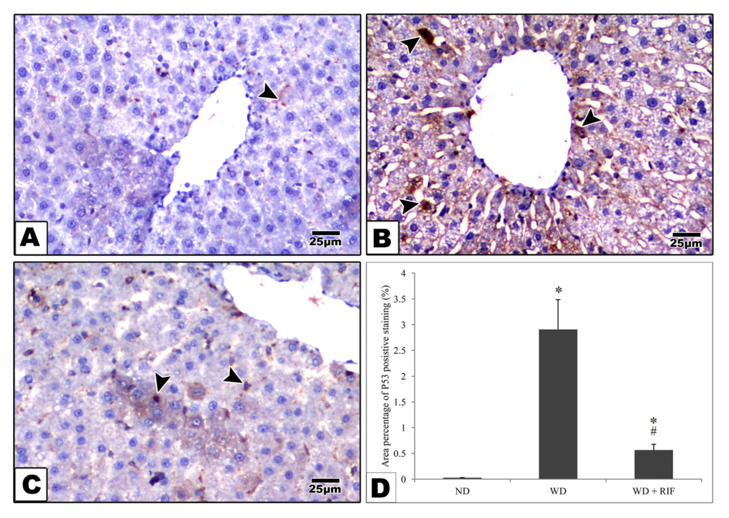 Pathogens 15 00170 g003