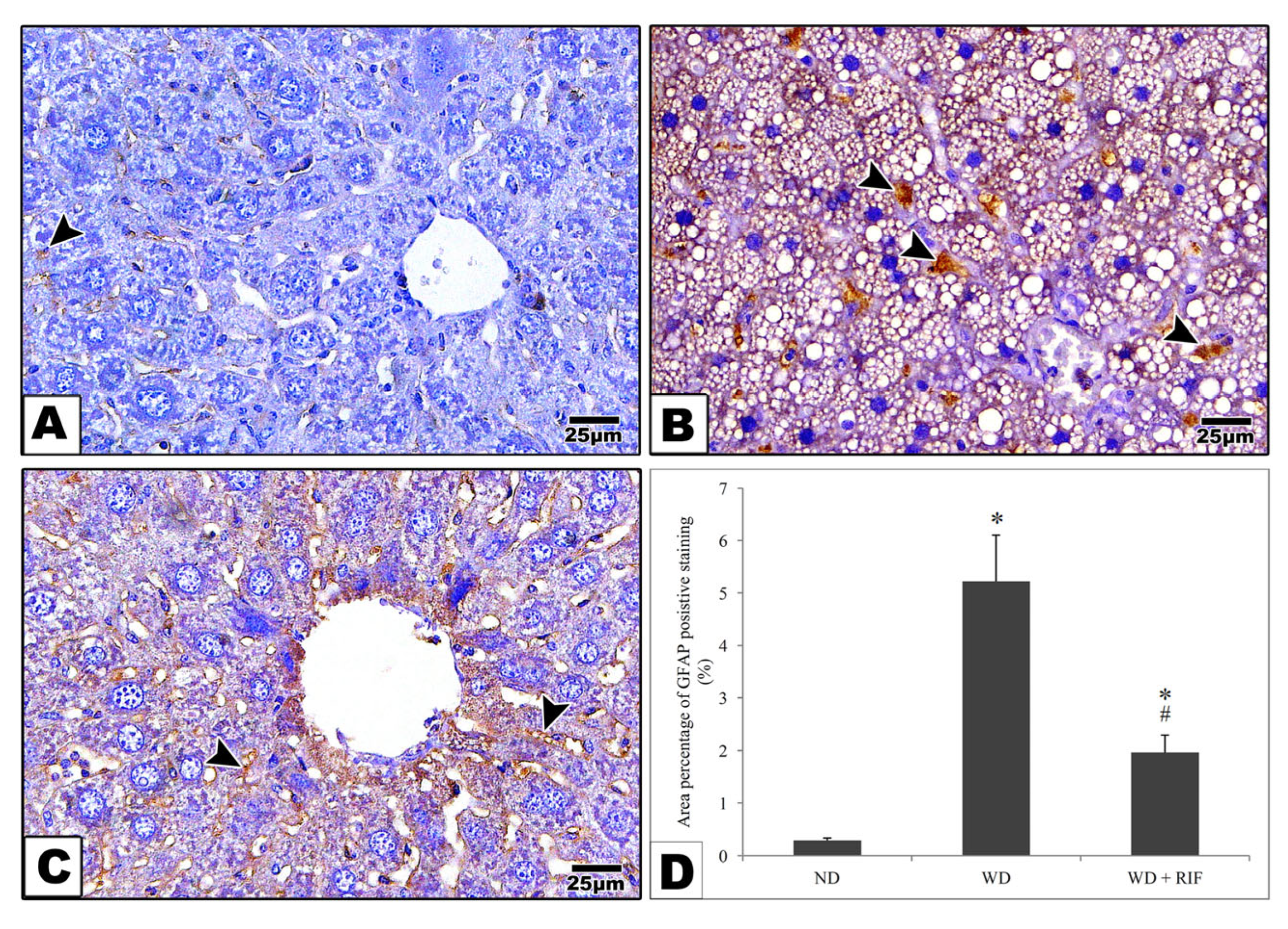 Pathogens 15 00170 g004