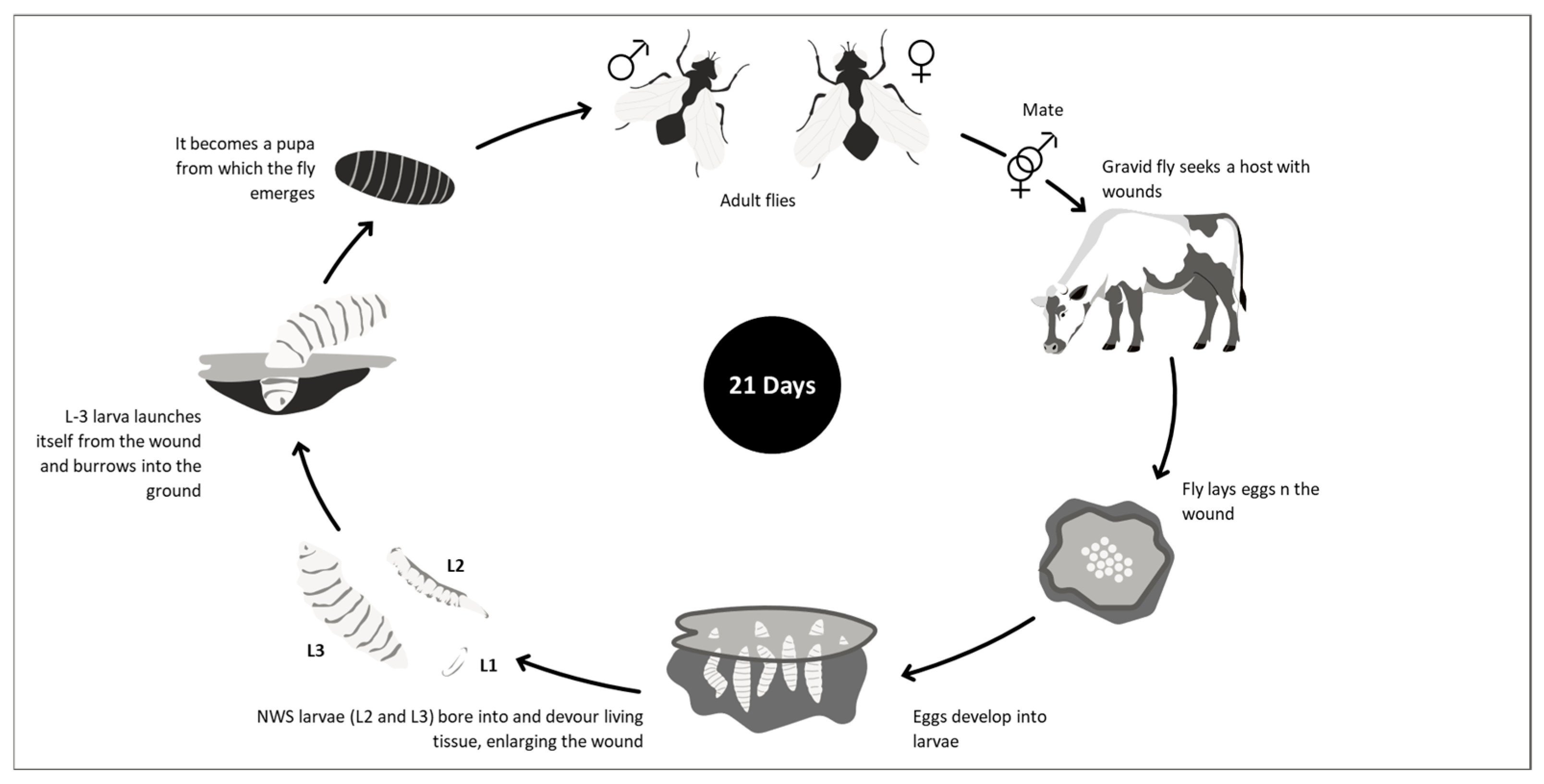 Pathogens 15 00177 g003