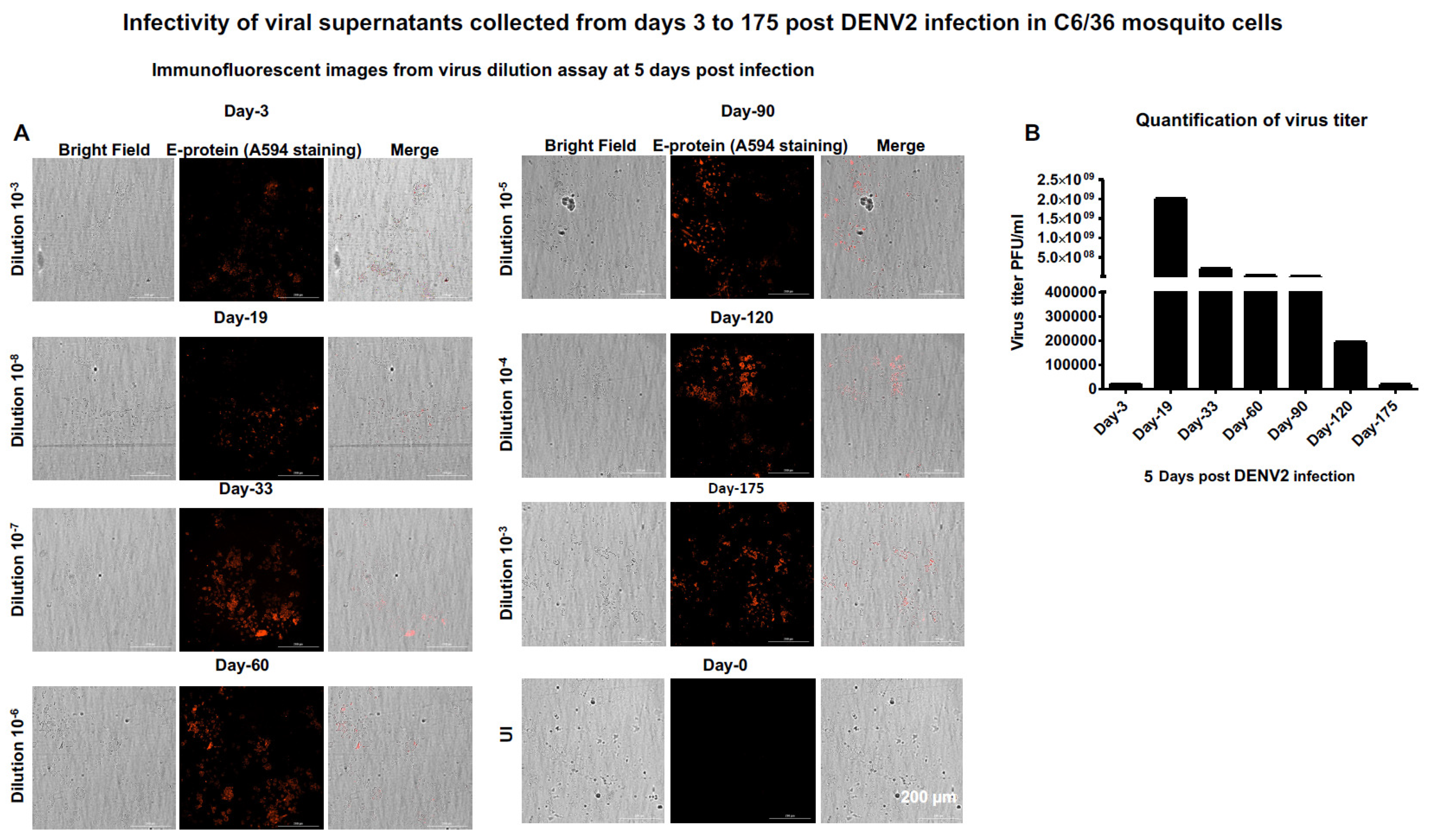 Pathogens 15 00202 g003 Pathogens 15 00202 g003