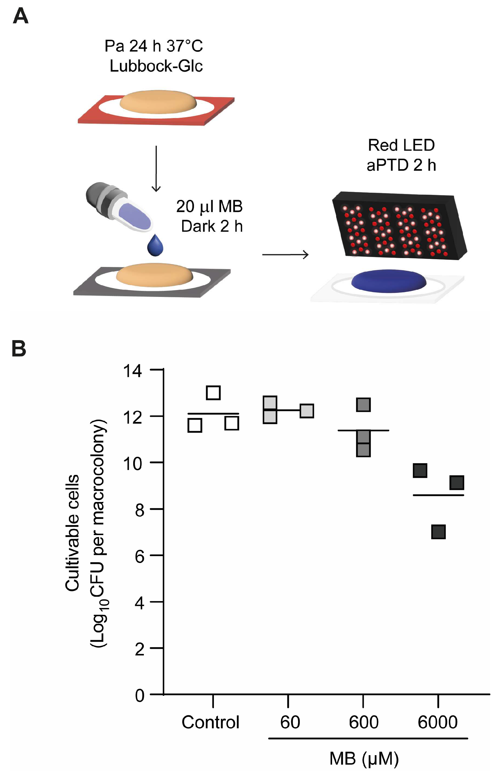 Pathogens 15 00226 g002
