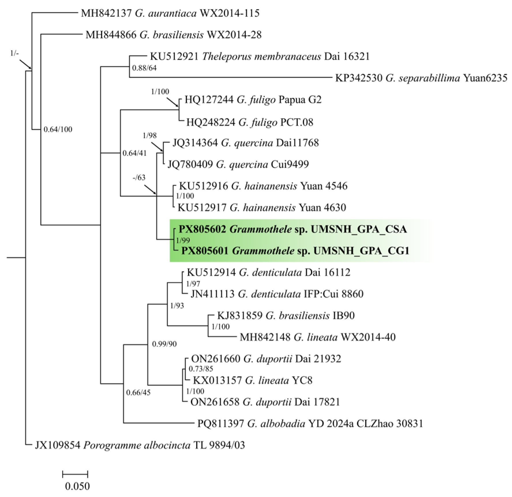 Pathogens 15 00244 g004