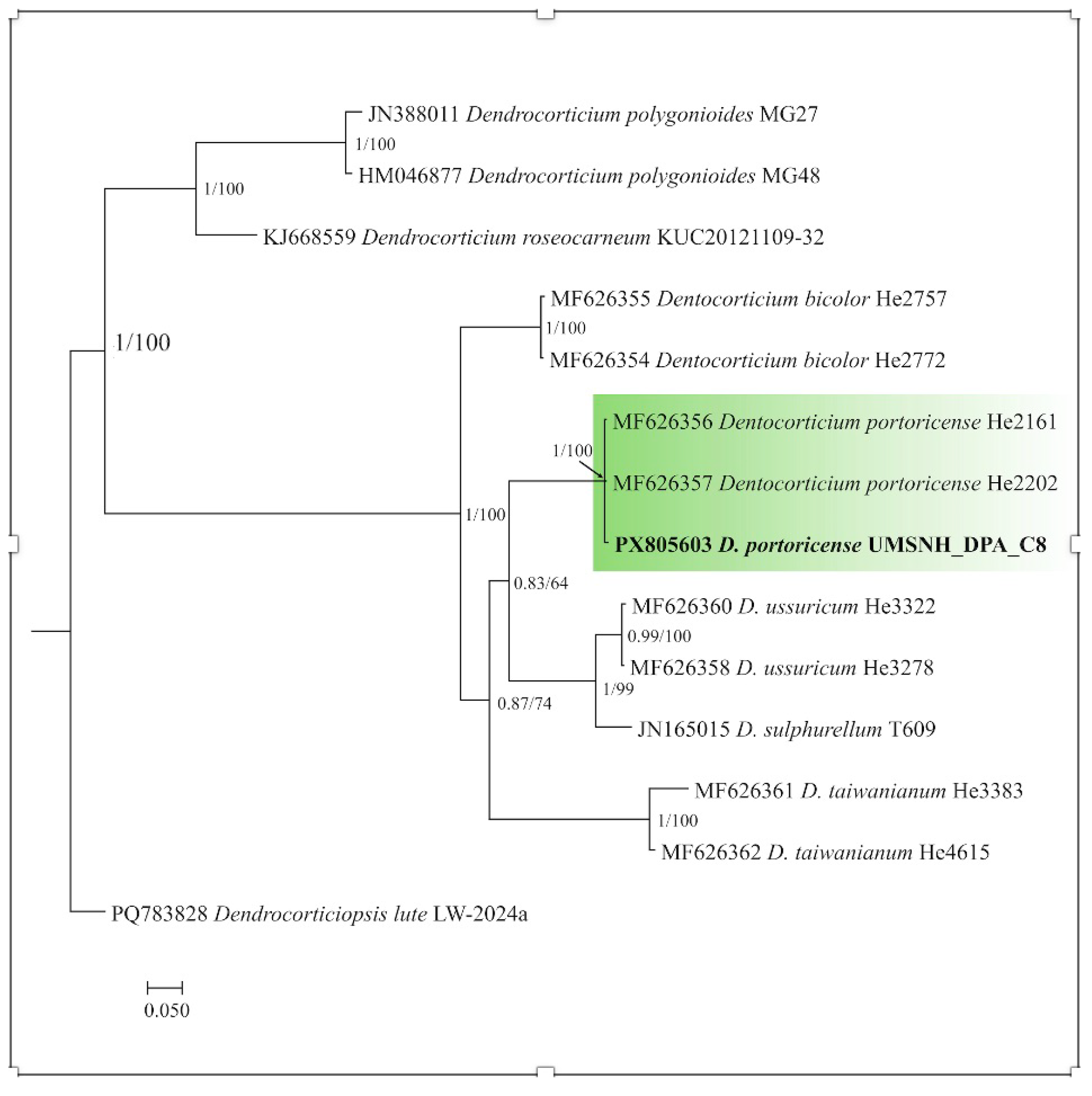 Pathogens 15 00244 g005