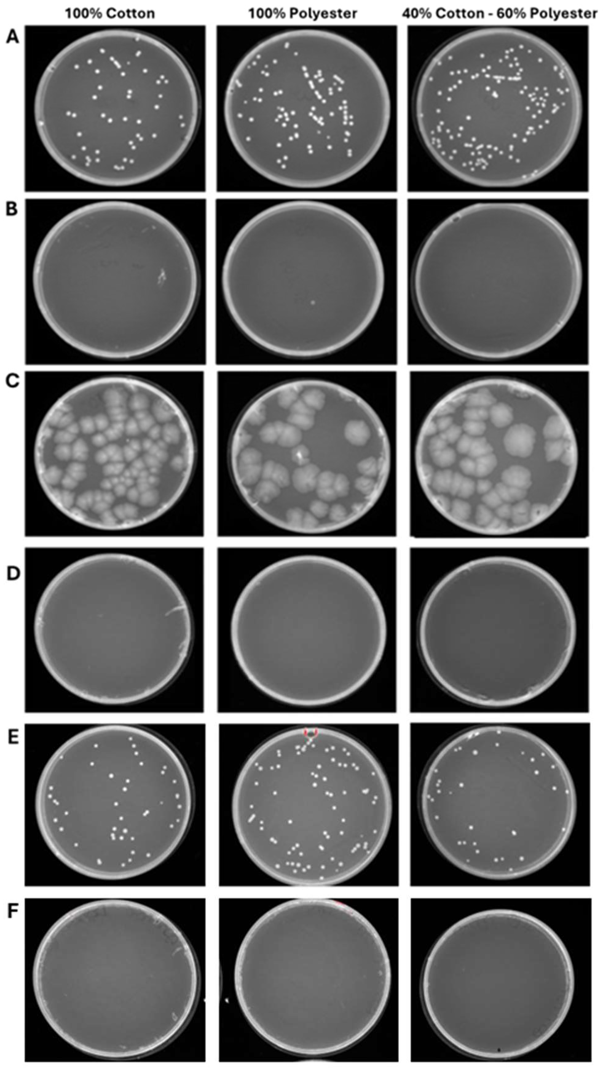 Pathogens 15 00252 g007 Pathogens 15 00252 g007