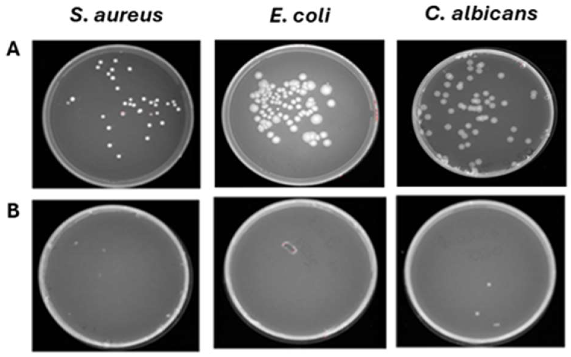 Pathogens 15 00252 g009 Pathogens 15 00252 g009