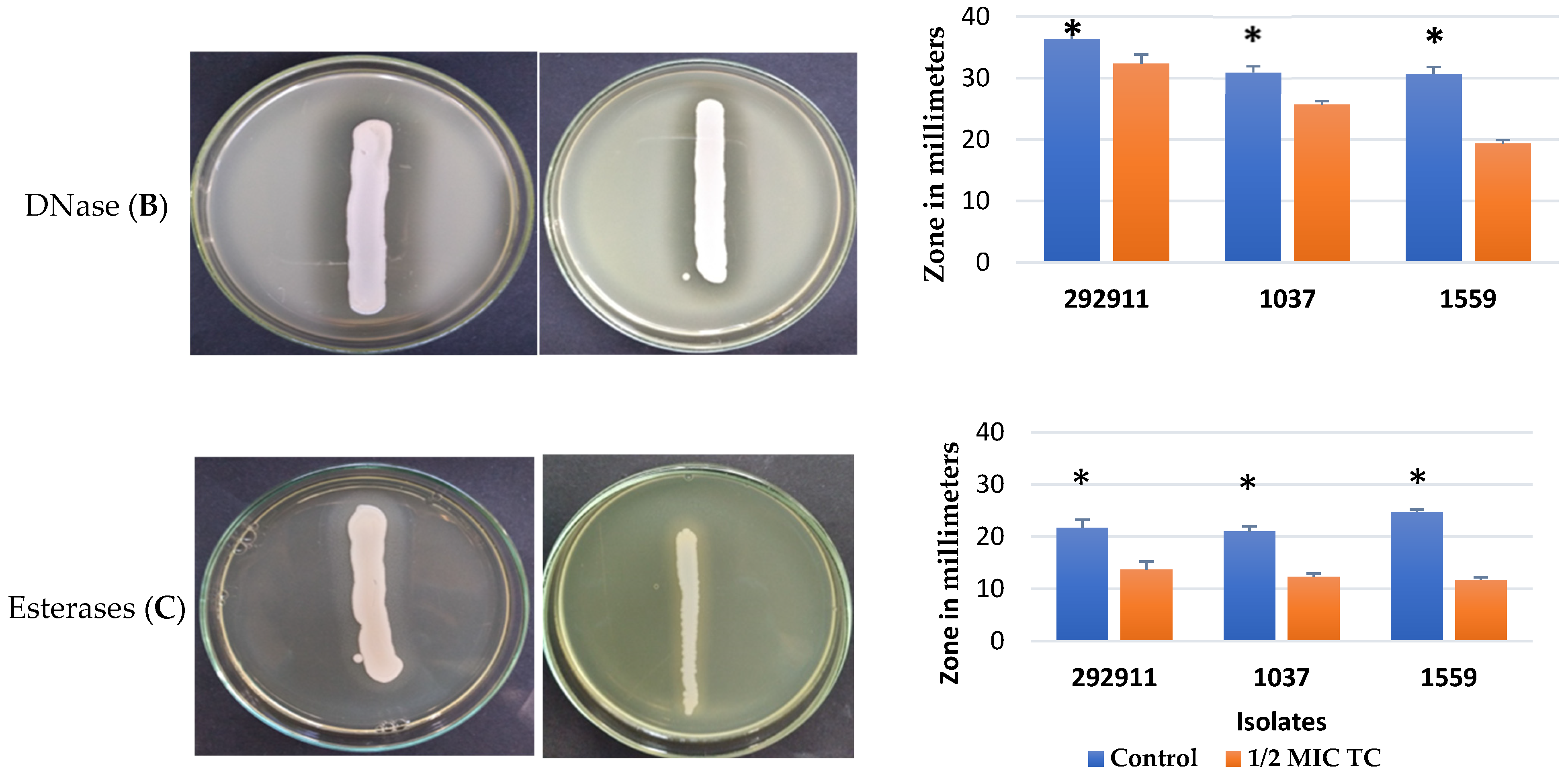 Pathogens 15 00271 g002b