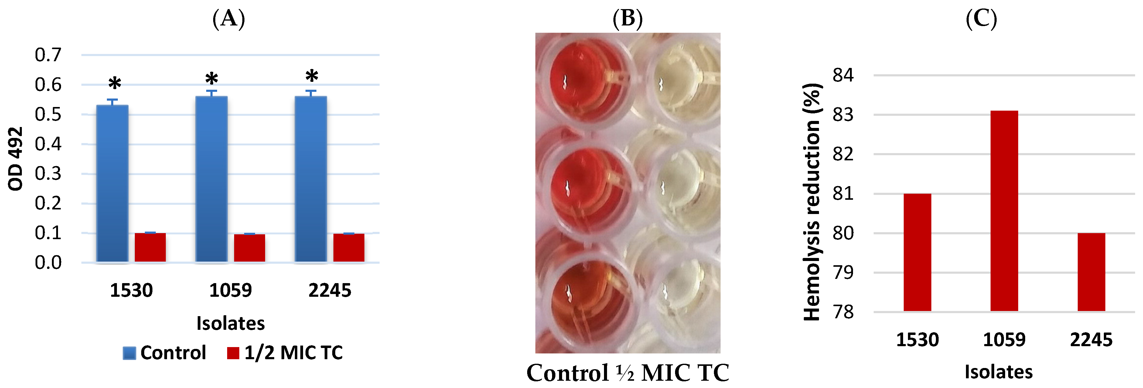 Pathogens 15 00271 g003