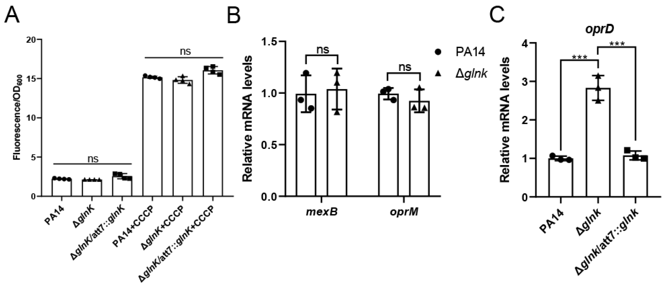Pathogens 15 00289 g001