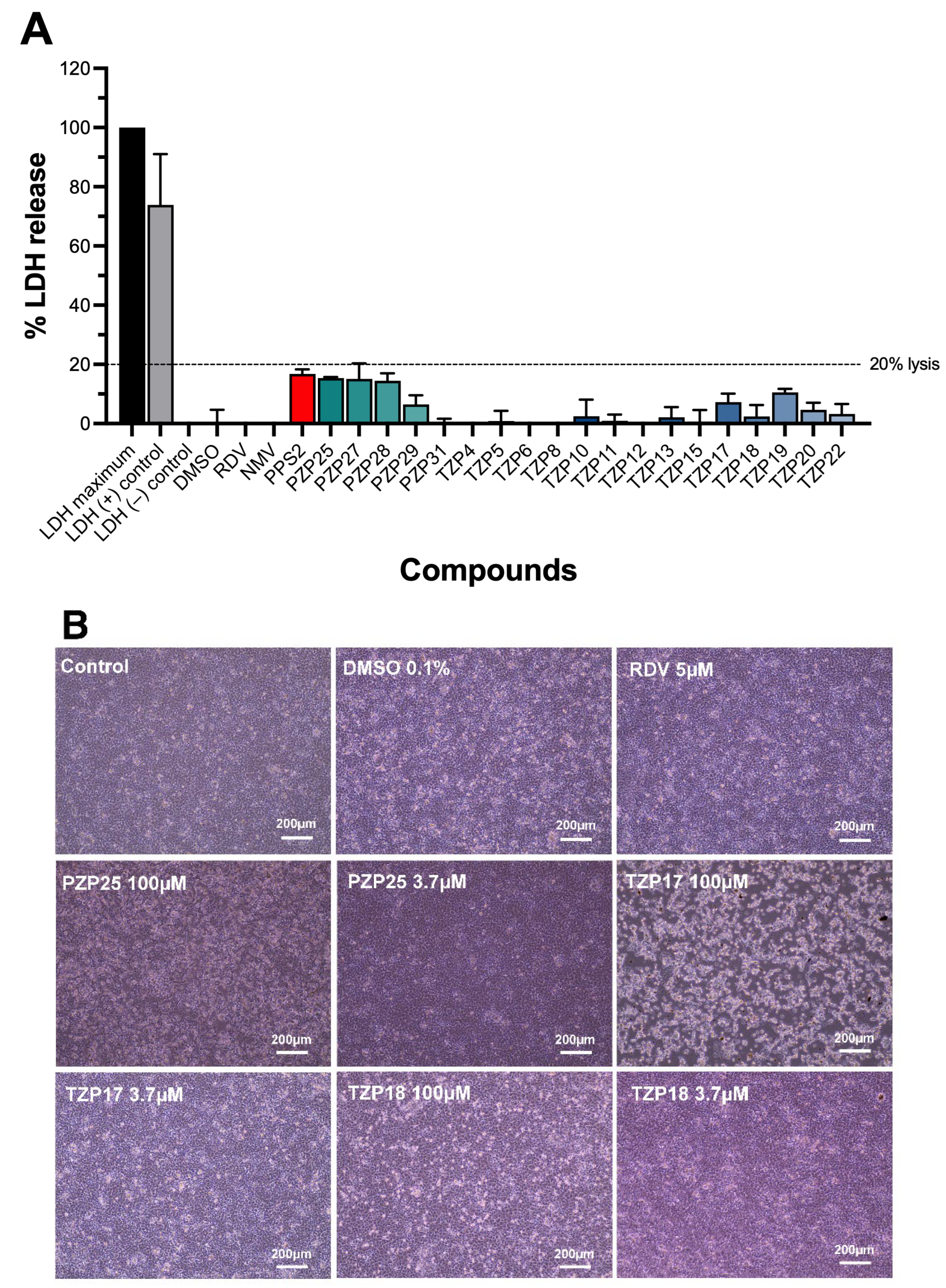Pathogens 15 00324 g002
