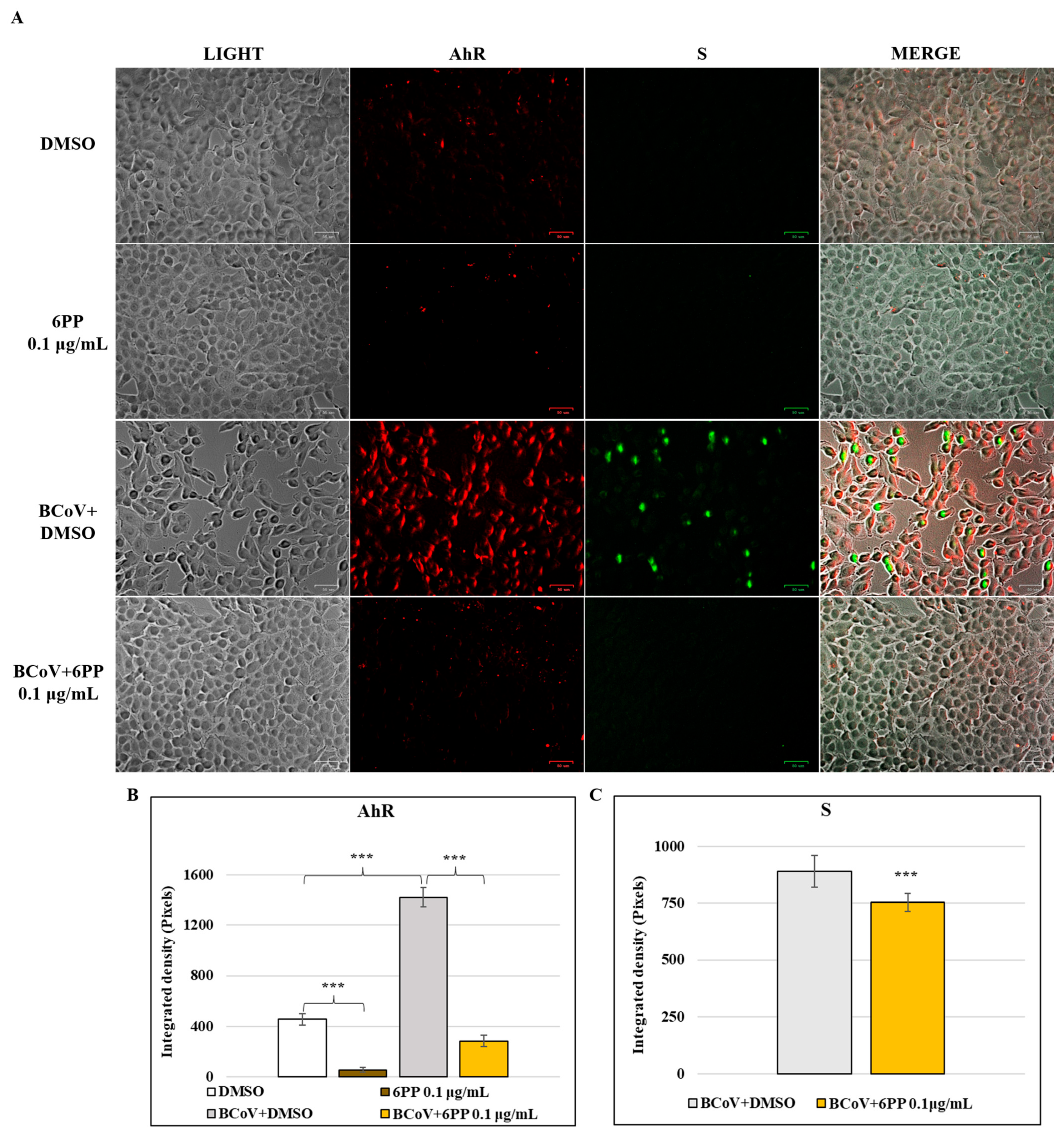 Pathogens 15 00332 g007