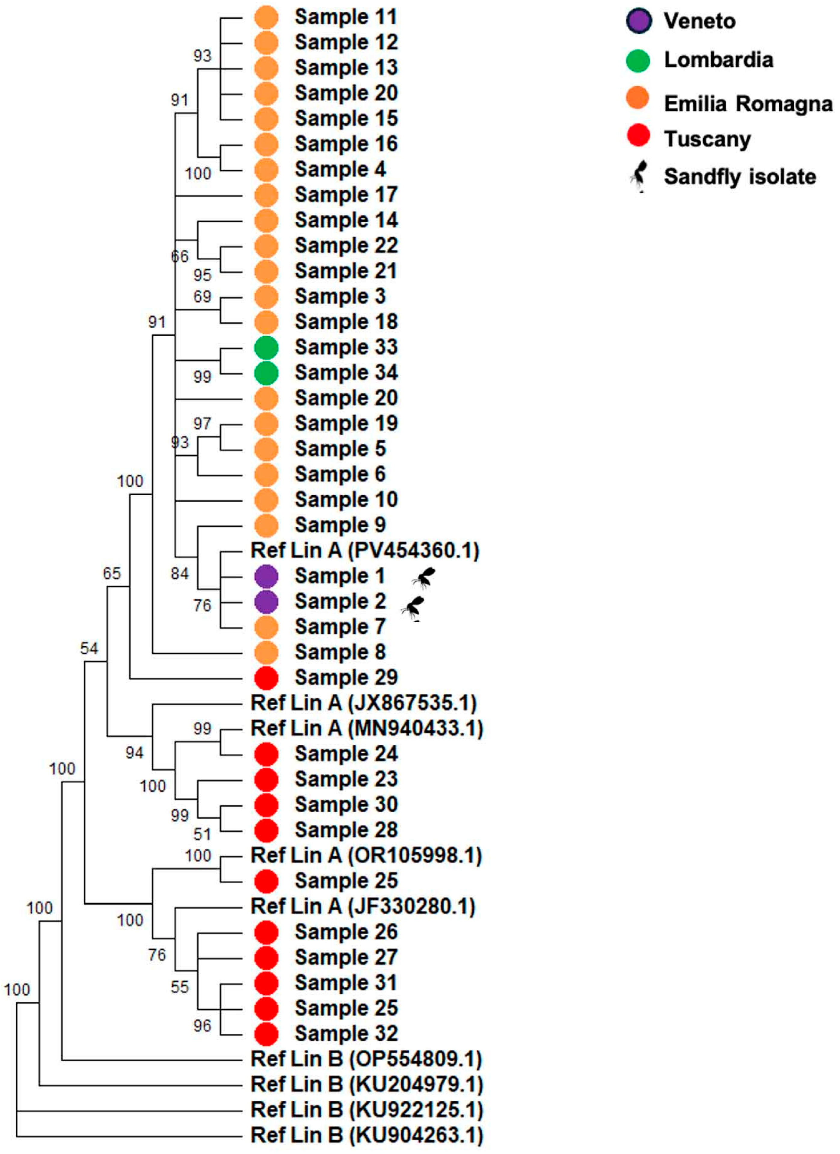 Pathogens 15 00338 g001