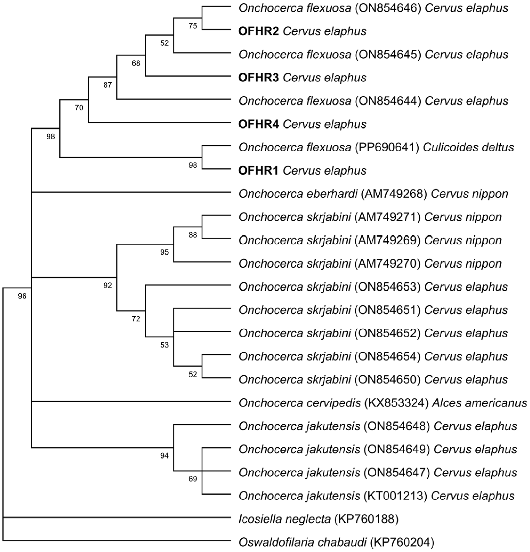 Pathogens 15 00344 g006