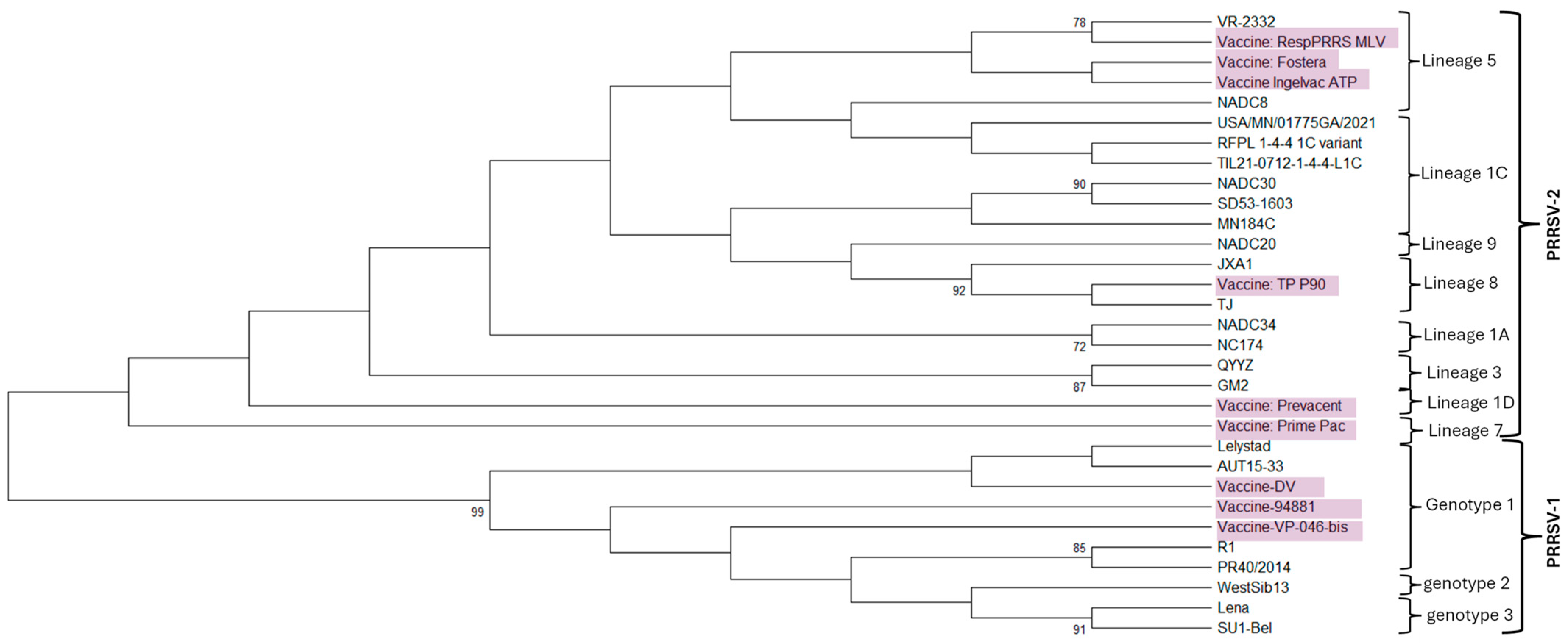 Pathogens 15 00345 g001