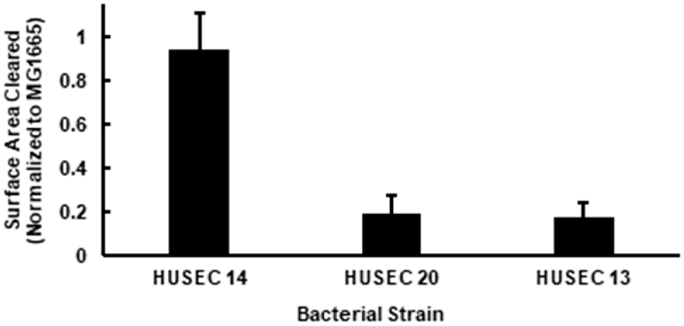 Pathogens 15 00353 g002