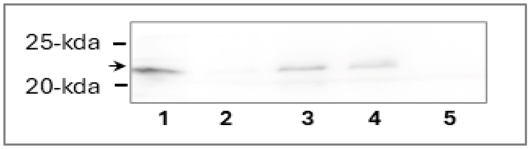 Pathogens 15 00379 g003
