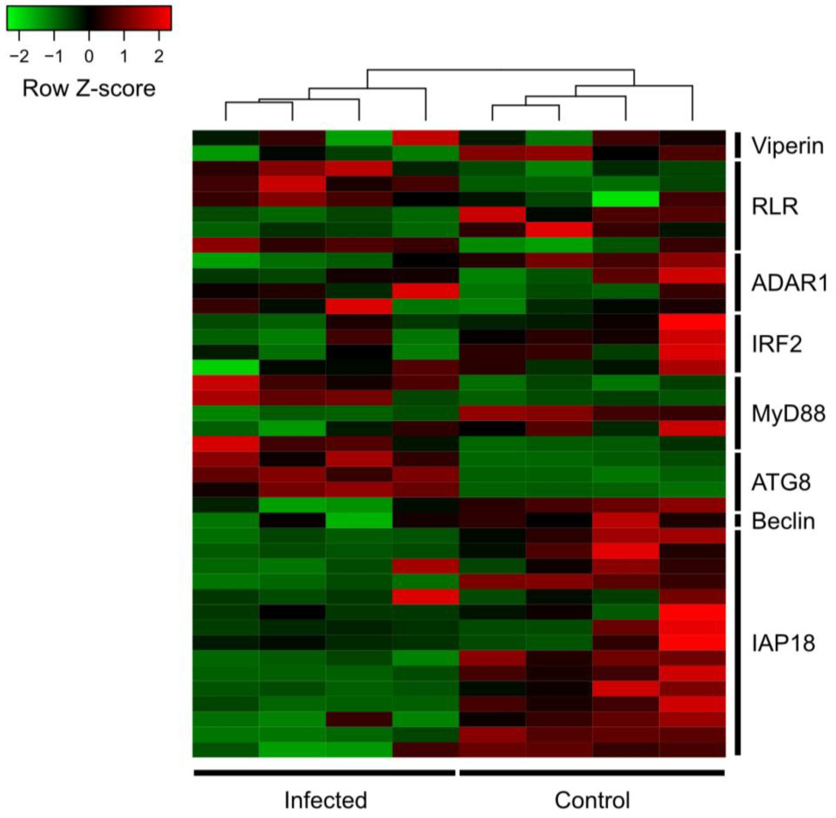 Pathogens 15 00380 g0a1 Pathogens 15 00380 g0a1